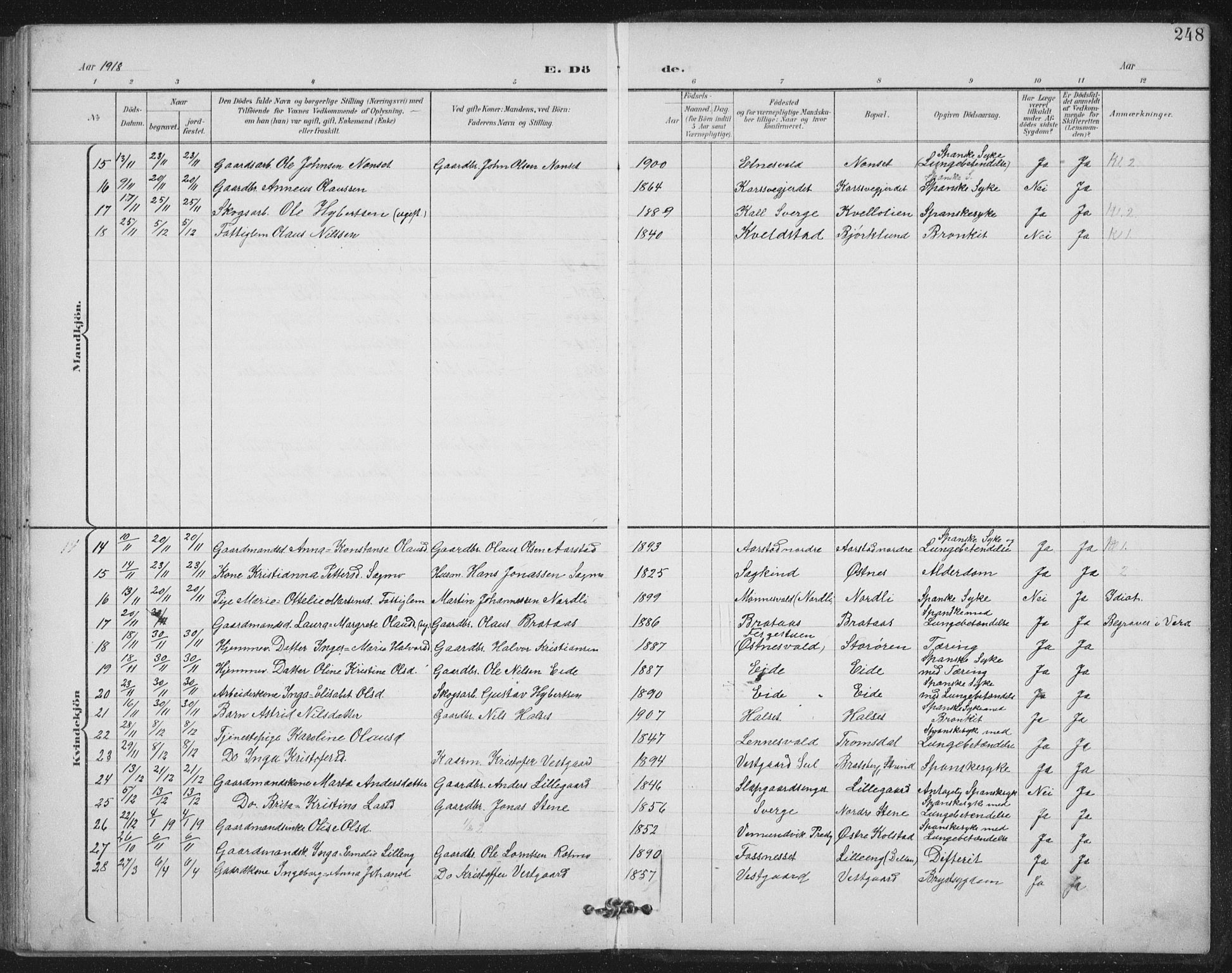 Ministerialprotokoller, klokkerbøker og fødselsregistre - Nord-Trøndelag, AV/SAT-A-1458/724/L0269: Parish register (copy) no. 724C05, 1899-1920, p. 248