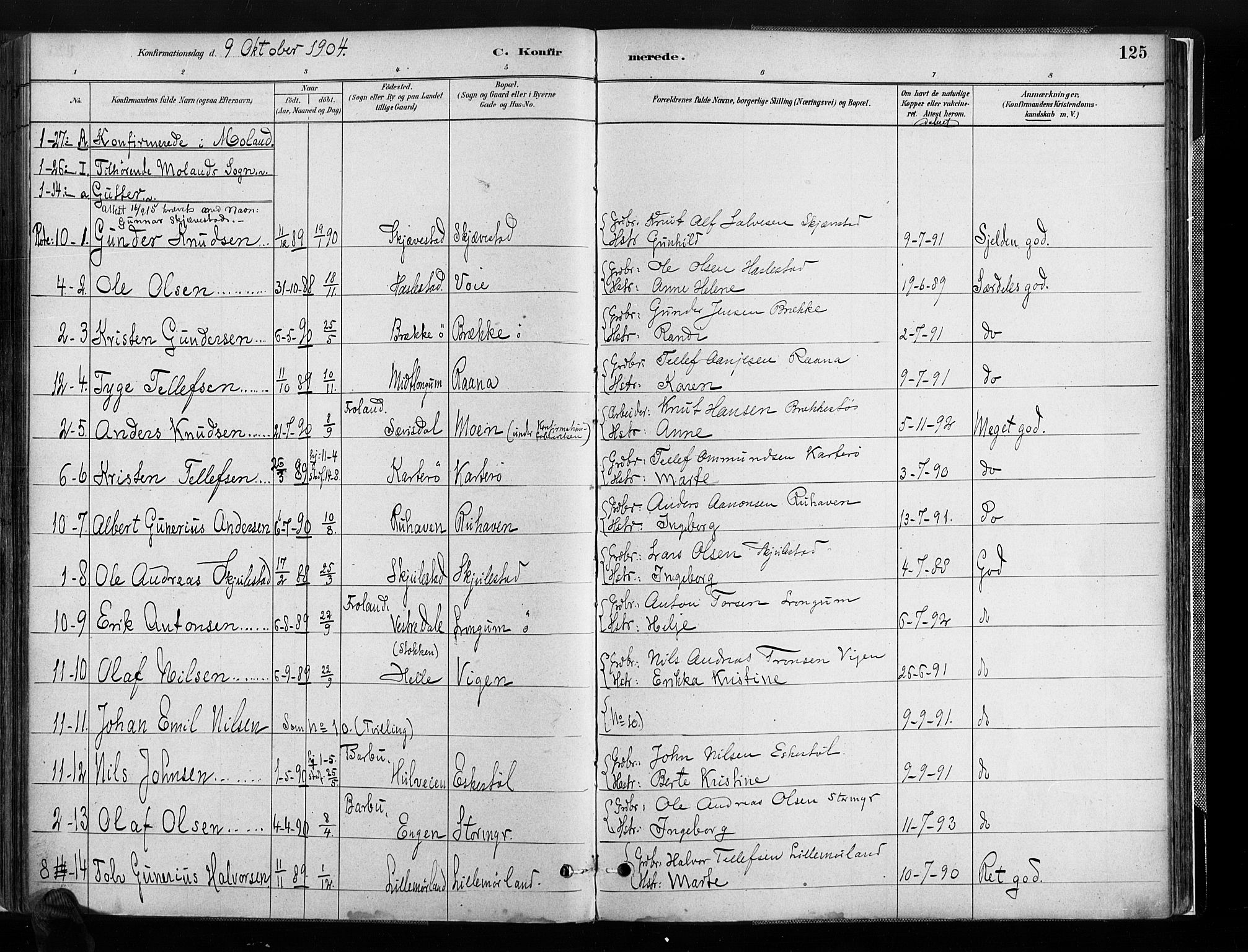 Austre Moland sokneprestkontor, AV/SAK-1111-0001/F/Fa/Faa/L0010: Parish register (official) no. A 10, 1880-1904, p. 125