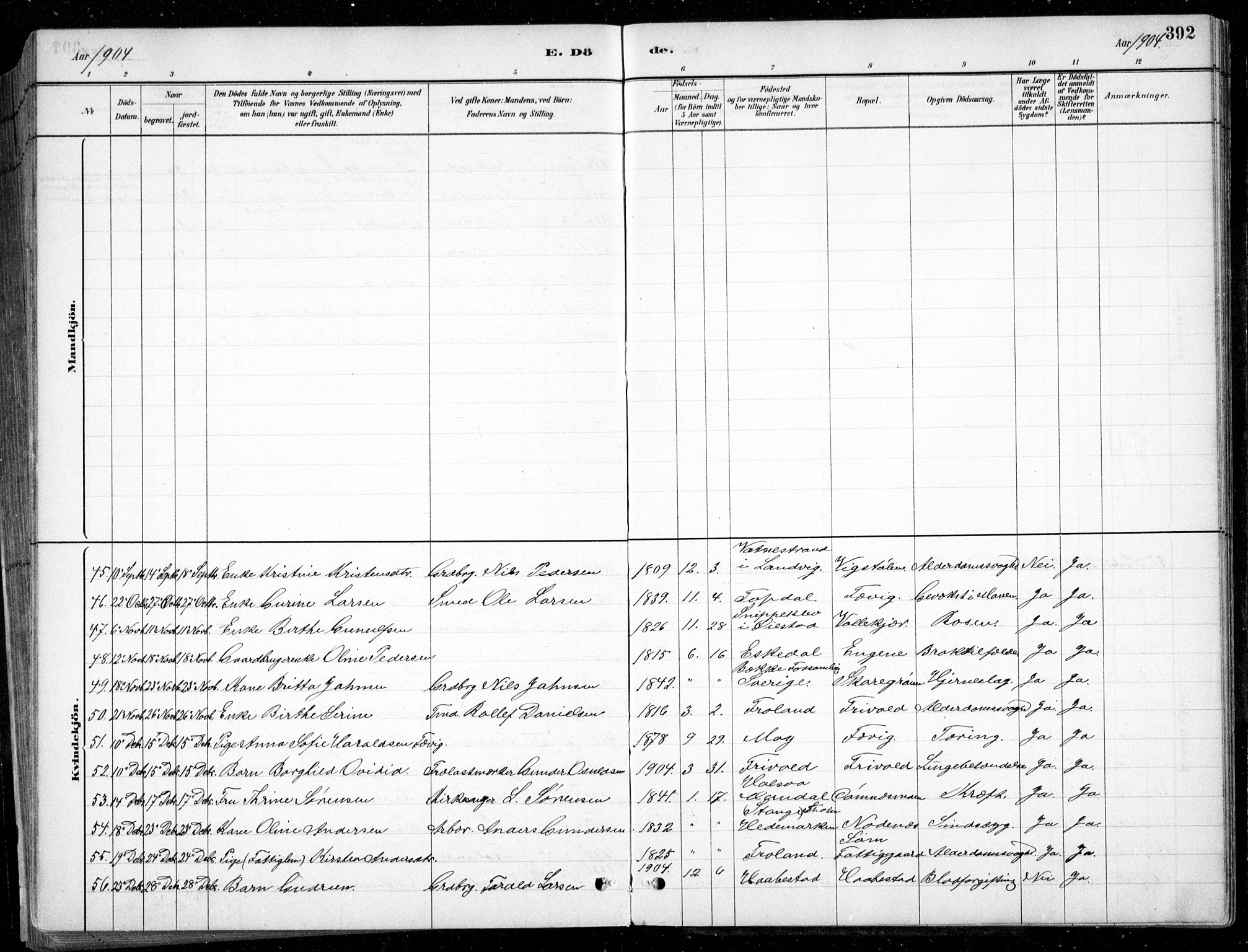 Fjære sokneprestkontor, AV/SAK-1111-0011/F/Fb/L0011: Parish register (copy) no. B 11, 1881-1905, p. 392