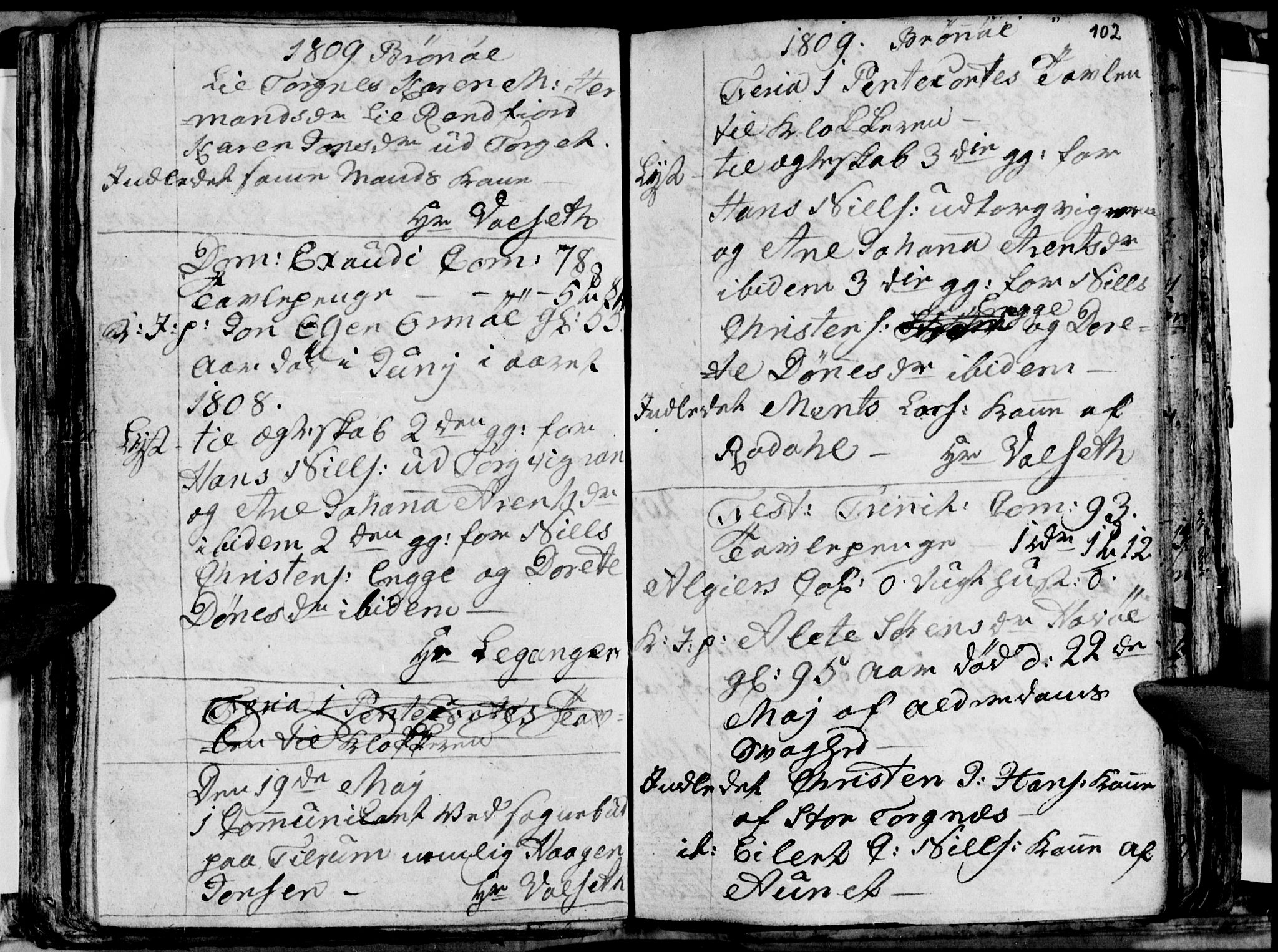 Ministerialprotokoller, klokkerbøker og fødselsregistre - Nordland, SAT/A-1459/813/L0209: Parish register (copy) no. 813C01, 1803-1821, p. 102
