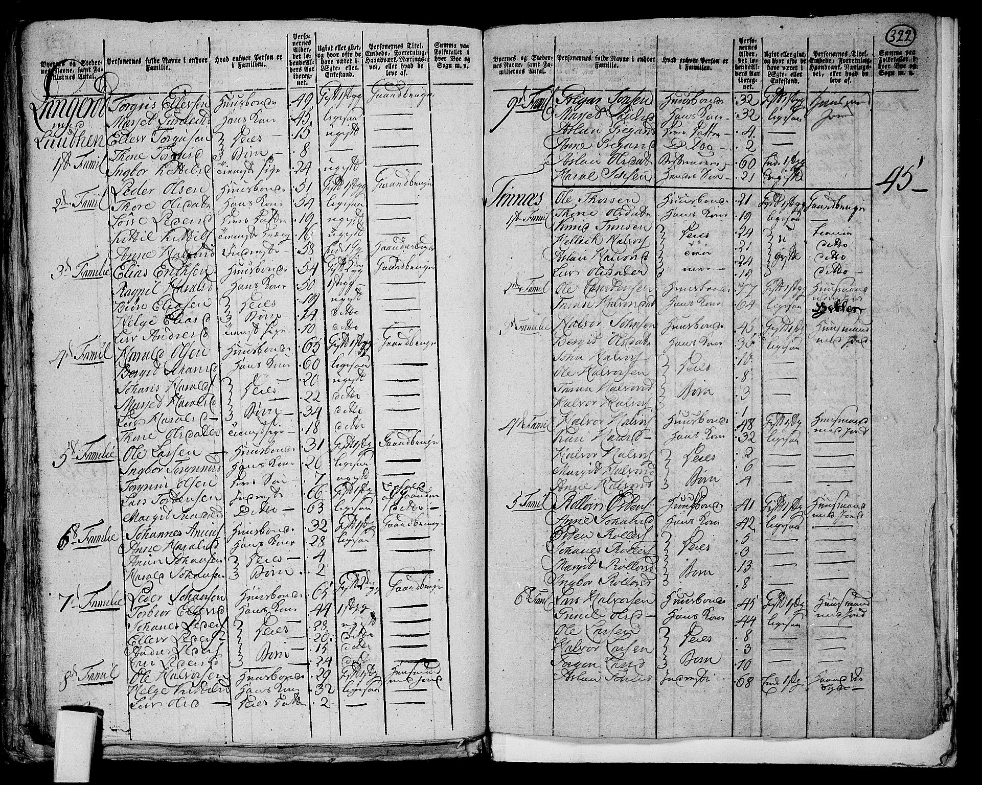 RA, 1801 census for 0823P Heddal, 1801, p. 321b-322a