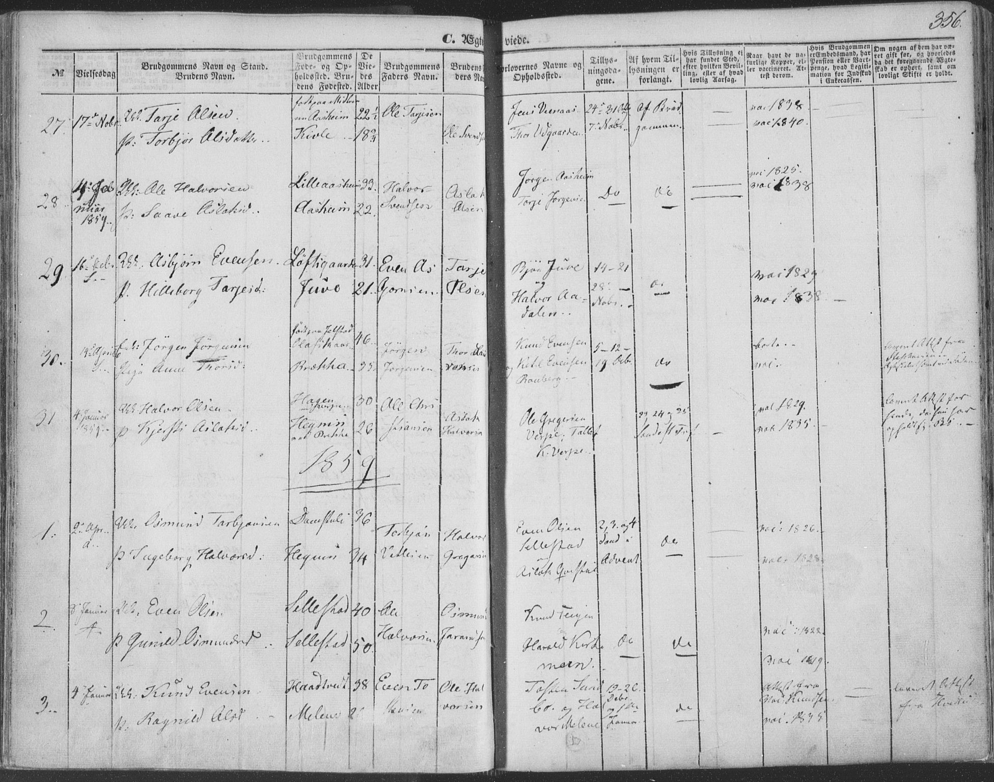 Seljord kirkebøker, AV/SAKO-A-20/F/Fa/L012b: Parish register (official) no. I 12B, 1850-1865, p. 356