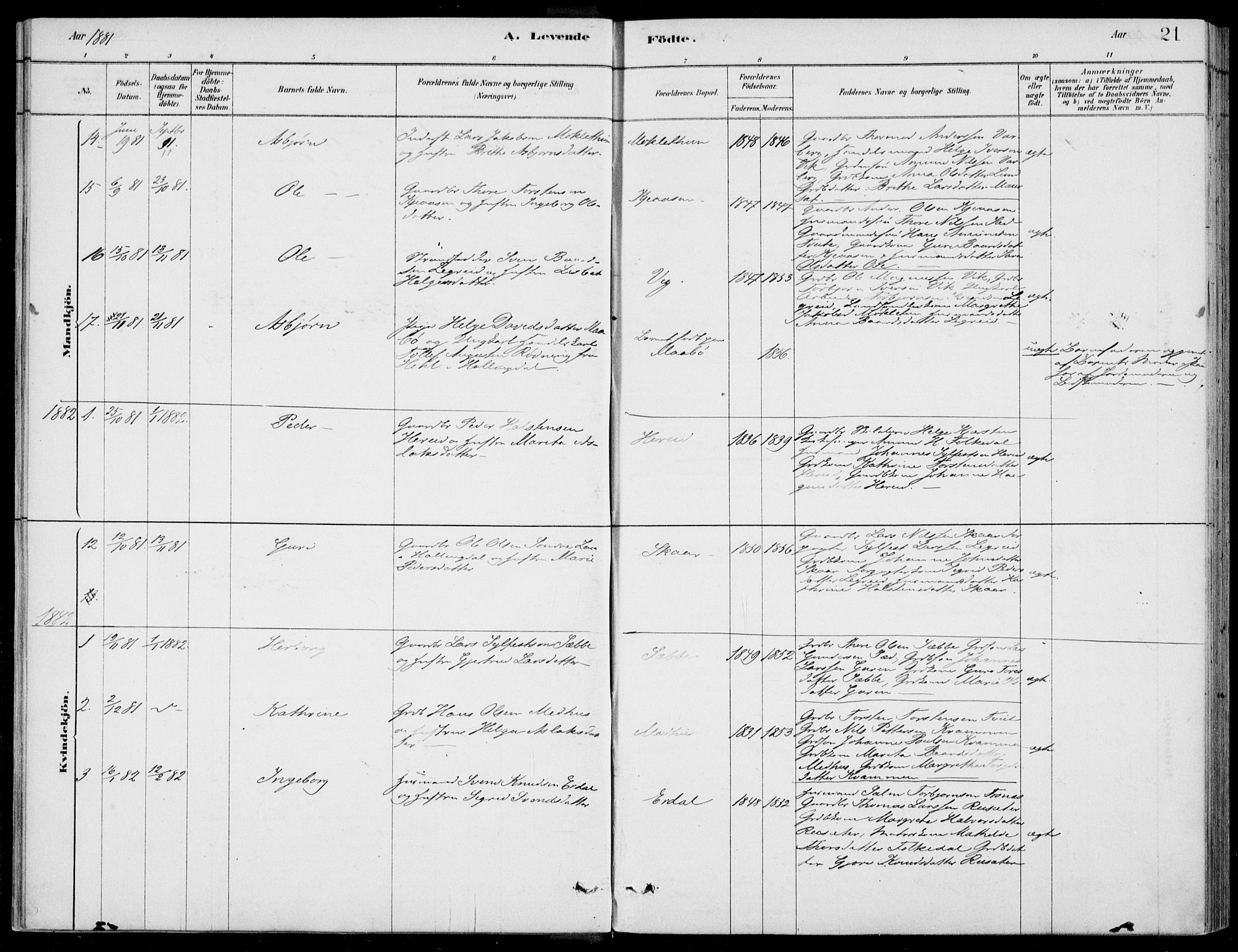 Ulvik sokneprestembete, AV/SAB-A-78801/H/Haa: Parish register (official) no. D  1, 1878-1903, p. 21