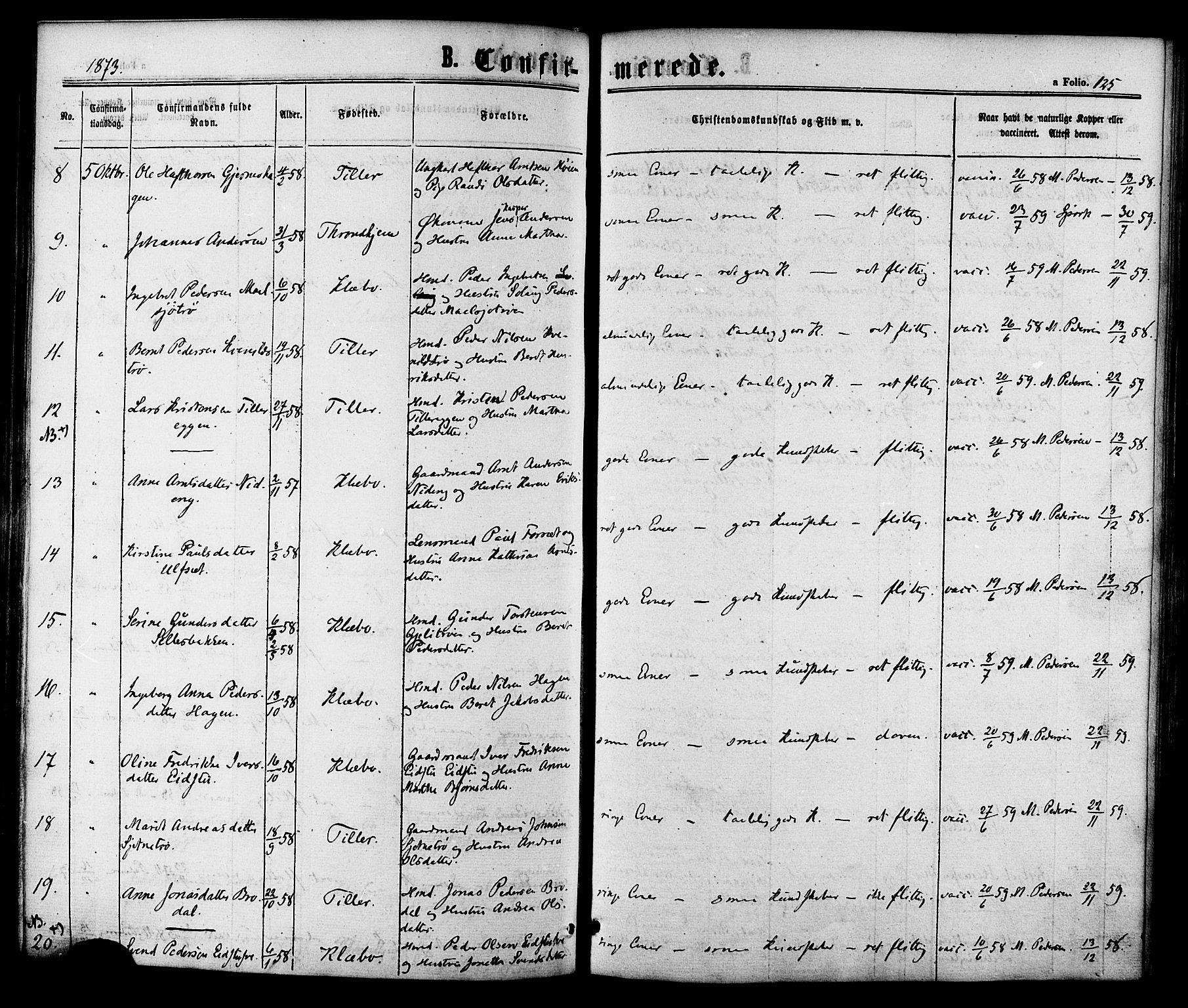 Ministerialprotokoller, klokkerbøker og fødselsregistre - Sør-Trøndelag, SAT/A-1456/618/L0442: Parish register (official) no. 618A06 /1, 1863-1879, p. 125