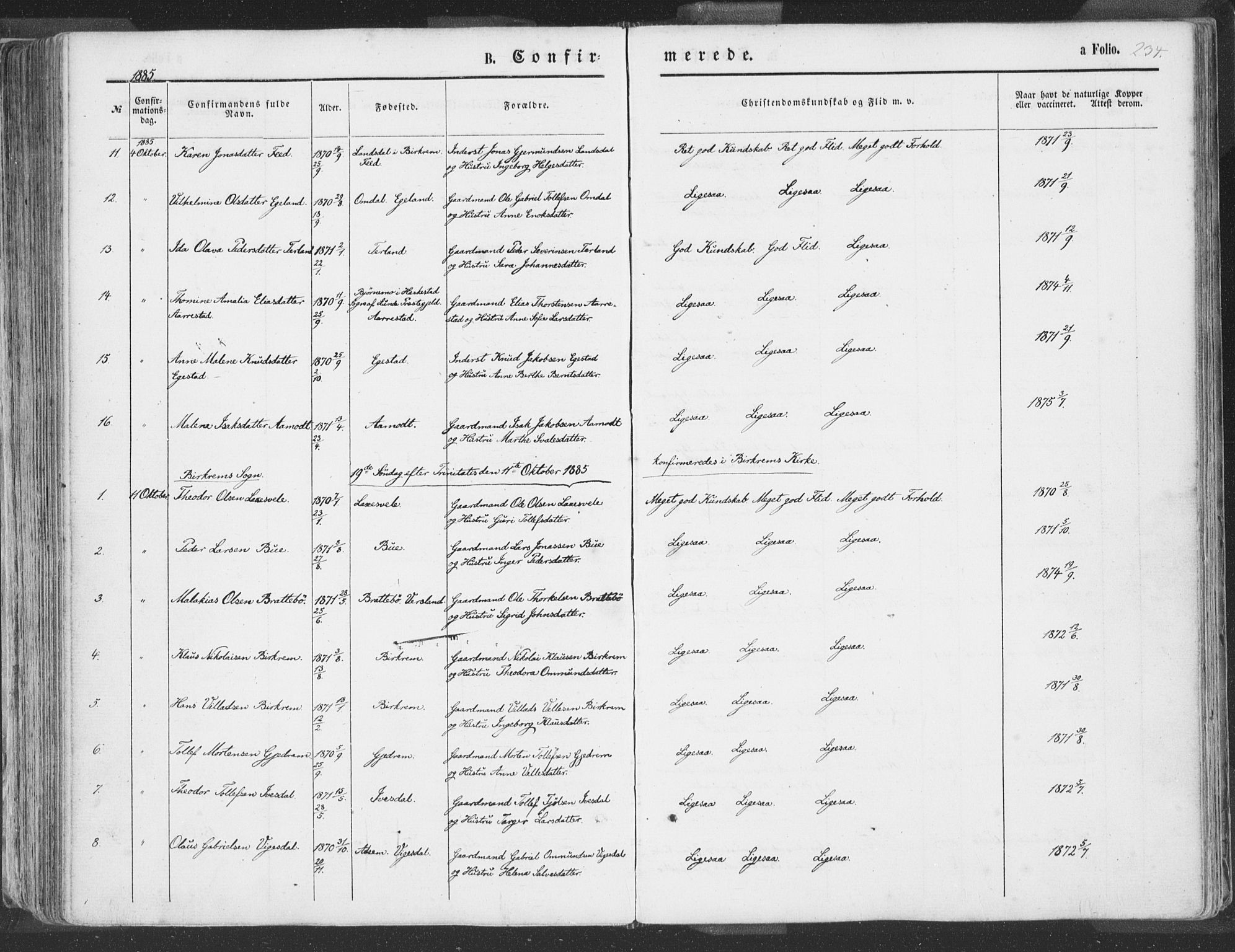 Helleland sokneprestkontor, AV/SAST-A-101810: Parish register (official) no. A 7.1, 1863-1886, p. 234