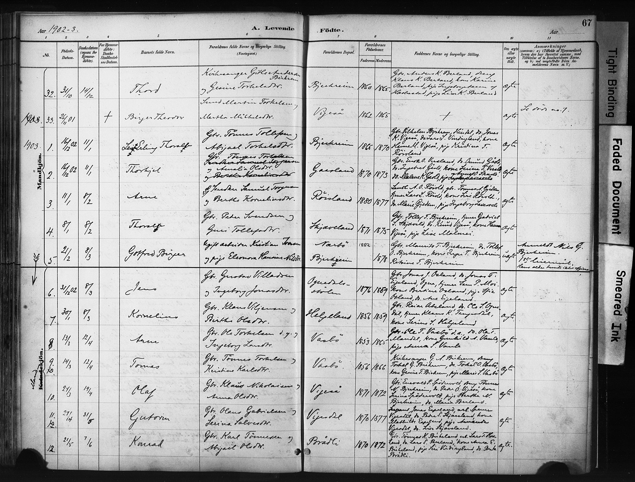 Helleland sokneprestkontor, AV/SAST-A-101810: Parish register (official) no. A 9, 1887-1908, p. 67