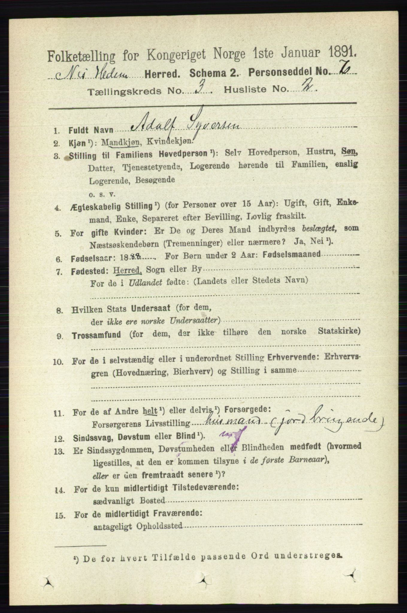 RA, 1891 census for 0411 Nes, 1891, p. 1606
