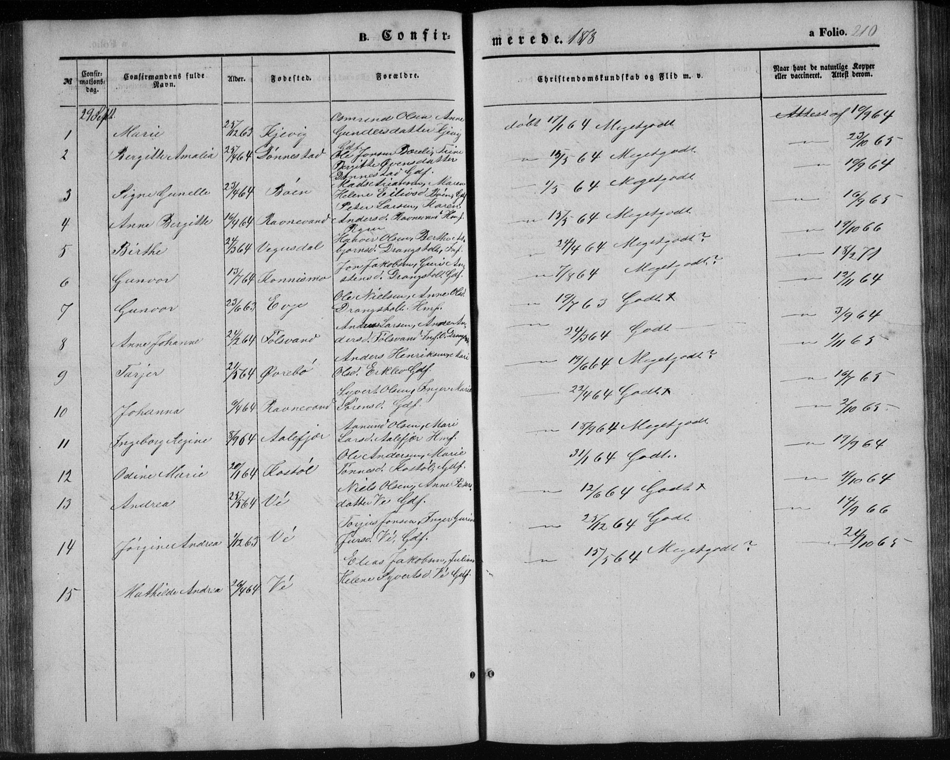 Tveit sokneprestkontor, AV/SAK-1111-0043/F/Fb/L0003: Parish register (copy) no. B 3, 1854-1886, p. 210