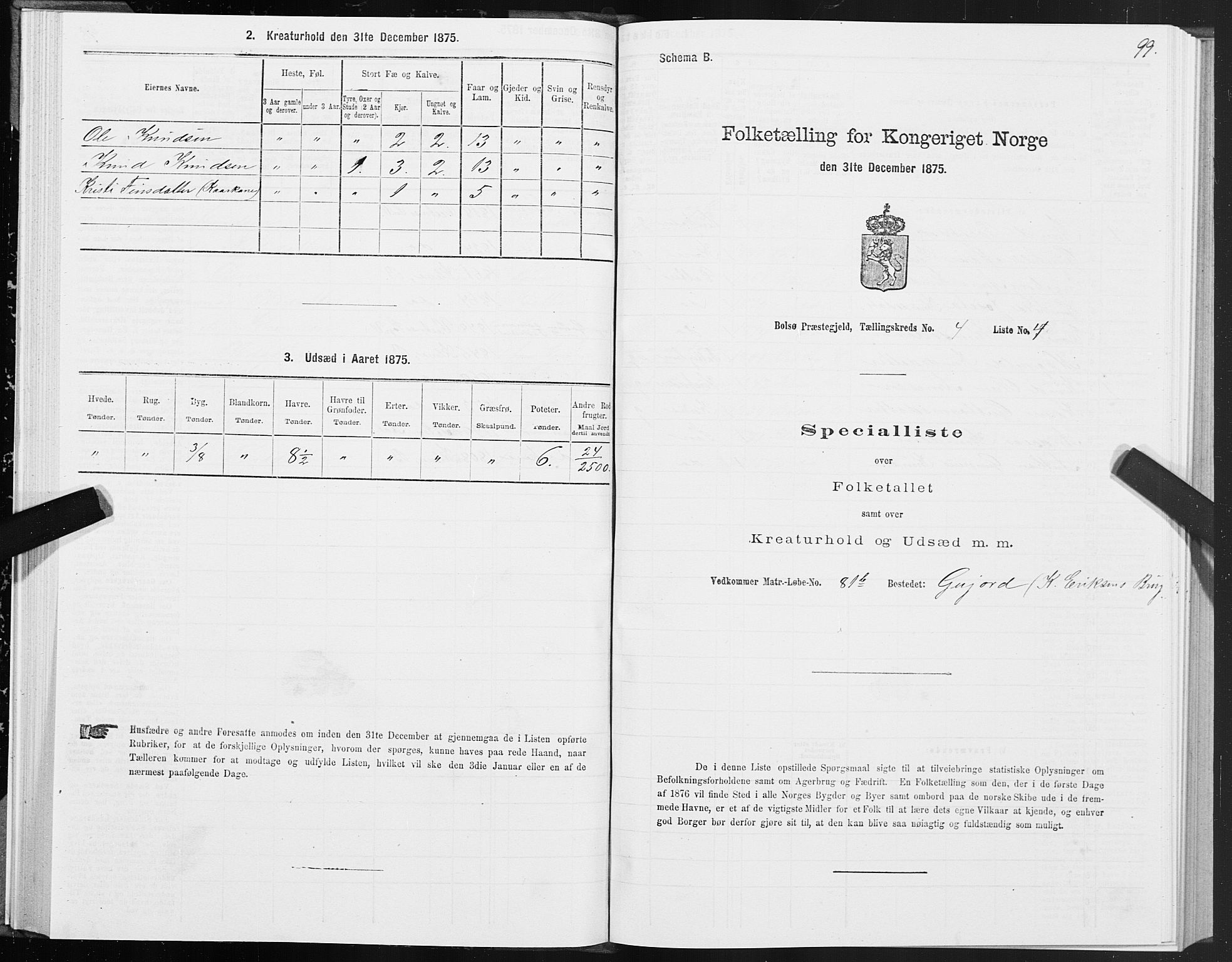 SAT, 1875 census for 1544P Bolsøy, 1875, p. 3099