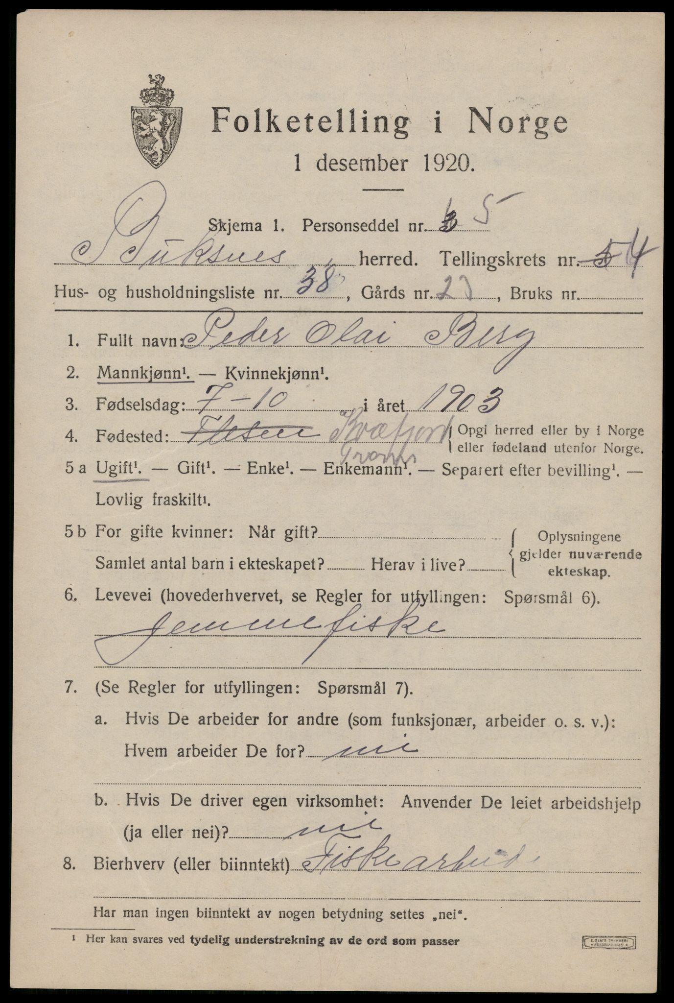 SAT, 1920 census for Buksnes, 1920, p. 5069