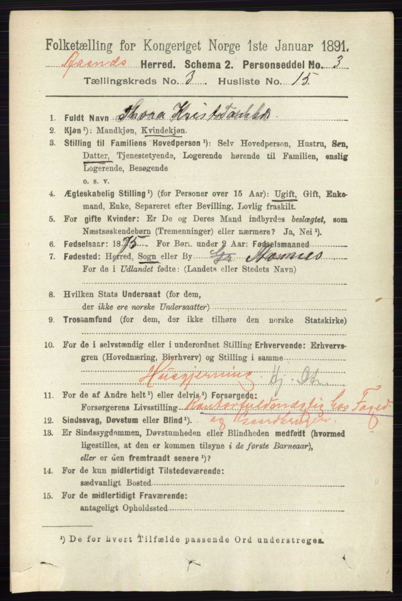 RA, 1891 census for 0425 Åsnes, 1891, p. 1180