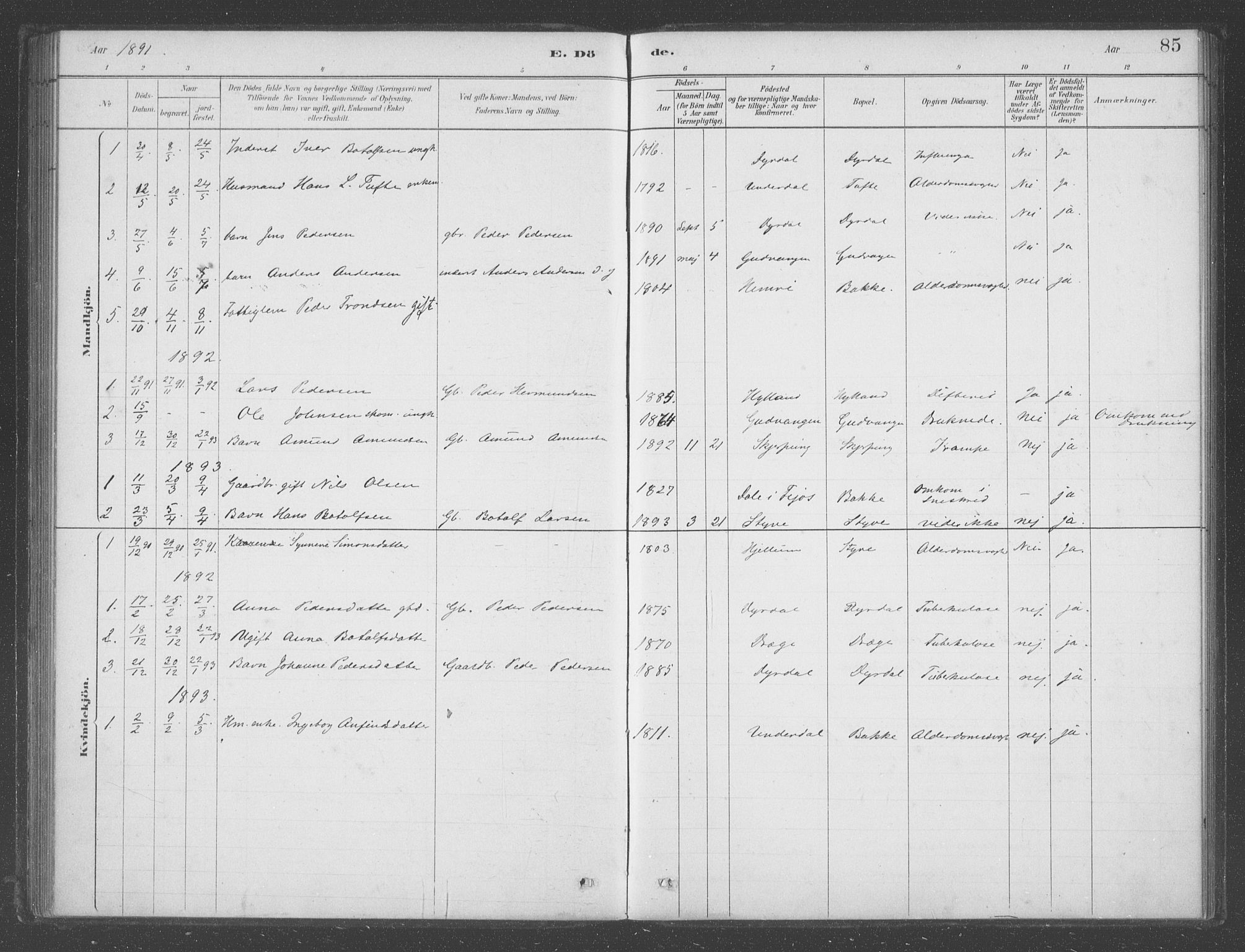 Aurland sokneprestembete, SAB/A-99937/H/Ha/Had/L0001: Parish register (official) no. D  1, 1880-1903, p. 85