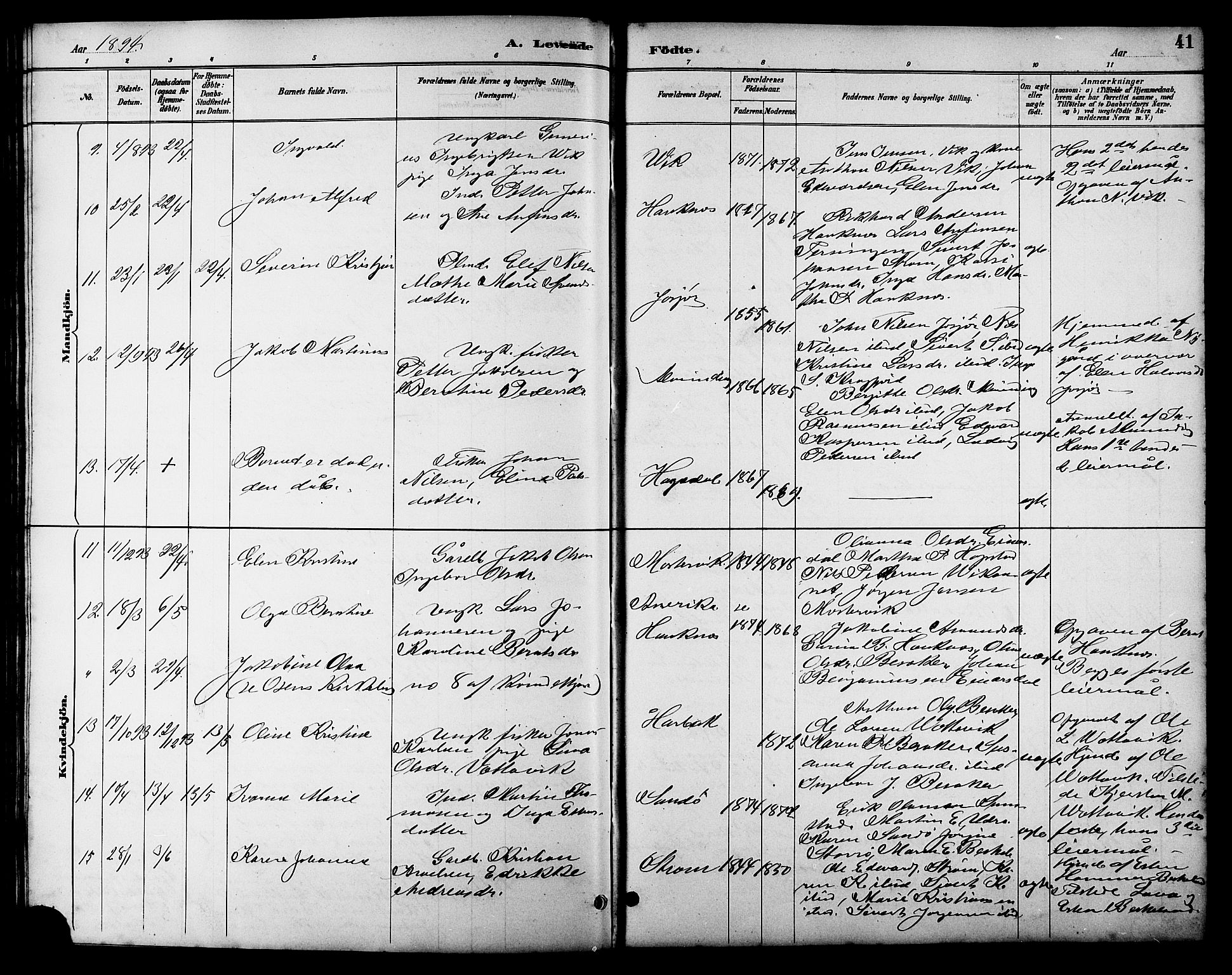Ministerialprotokoller, klokkerbøker og fødselsregistre - Sør-Trøndelag, SAT/A-1456/657/L0716: Parish register (copy) no. 657C03, 1889-1904, p. 41