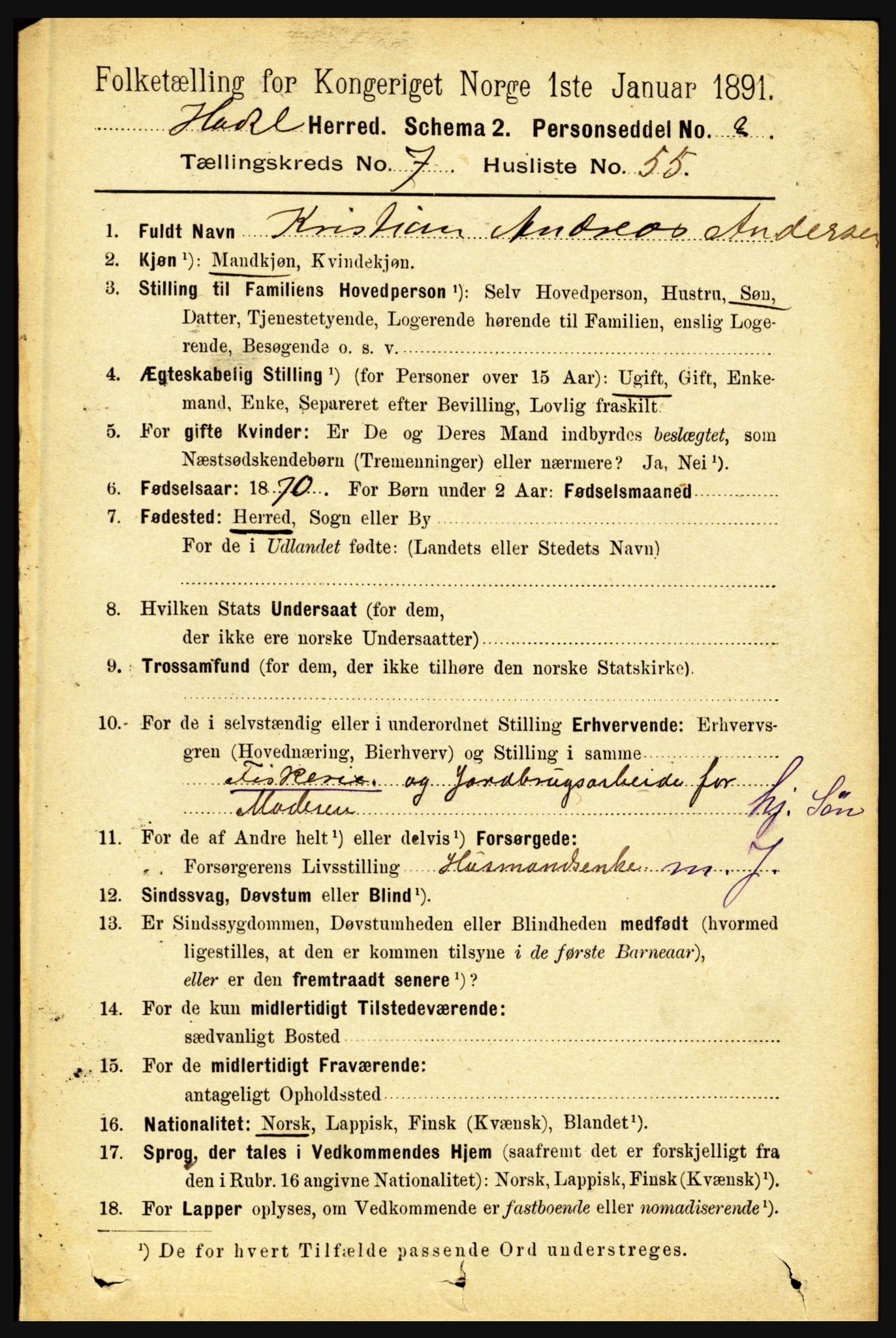 RA, 1891 census for 1866 Hadsel, 1891, p. 3525
