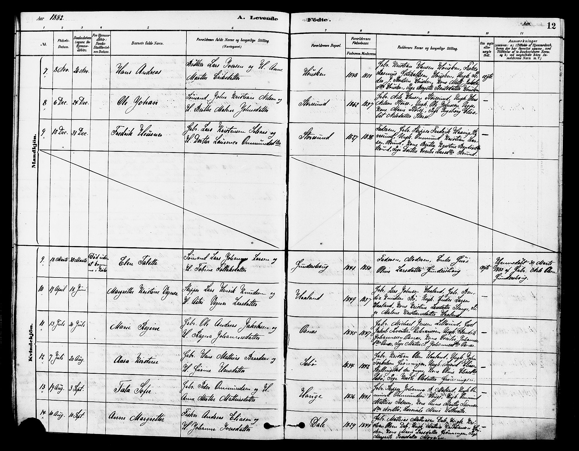 Torvastad sokneprestkontor, AV/SAST-A -101857/H/Ha/Haa/L0014: Parish register (official) no. A 13, 1879-1888, p. 12