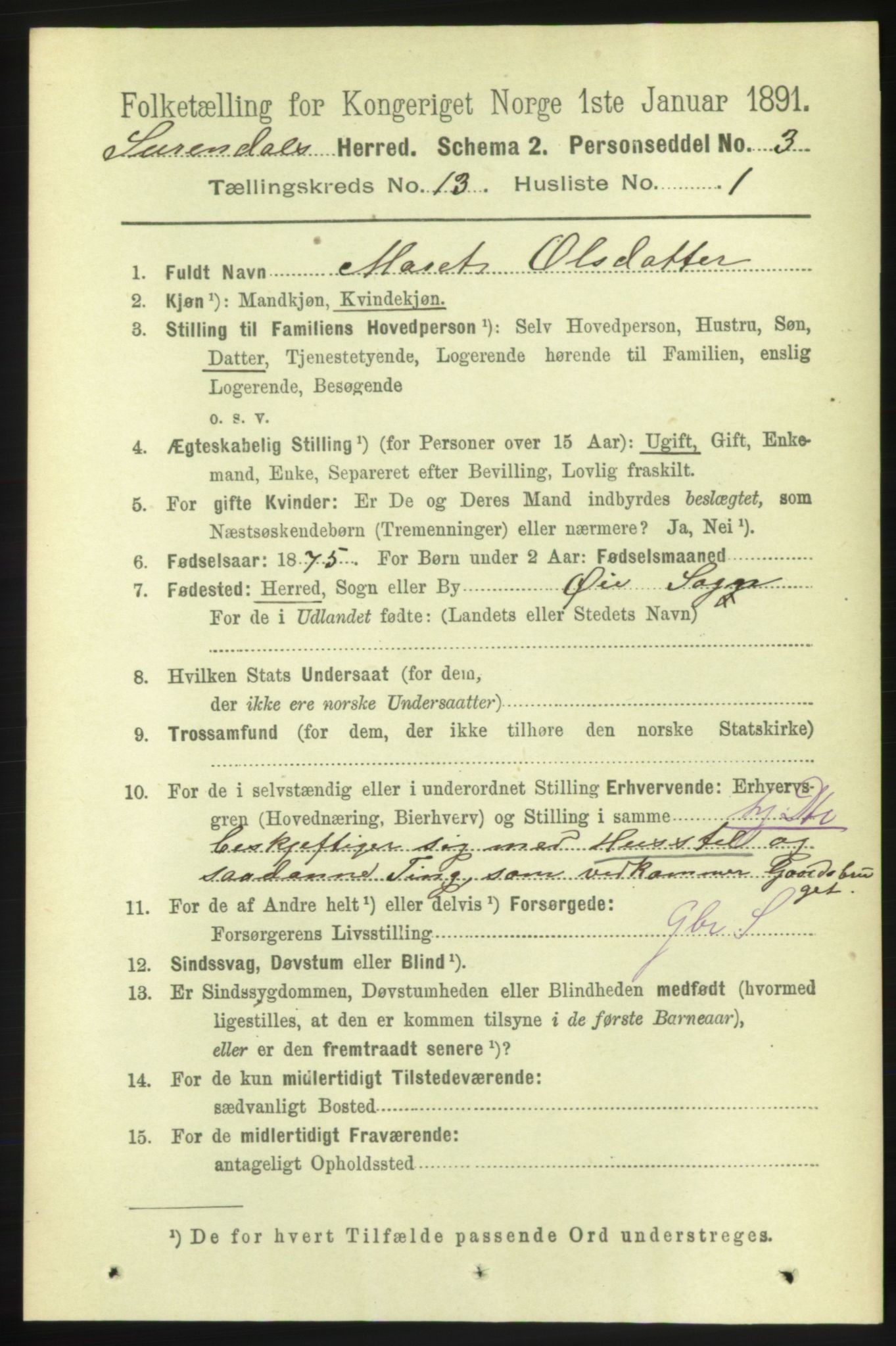 RA, 1891 census for 1566 Surnadal, 1891, p. 3169