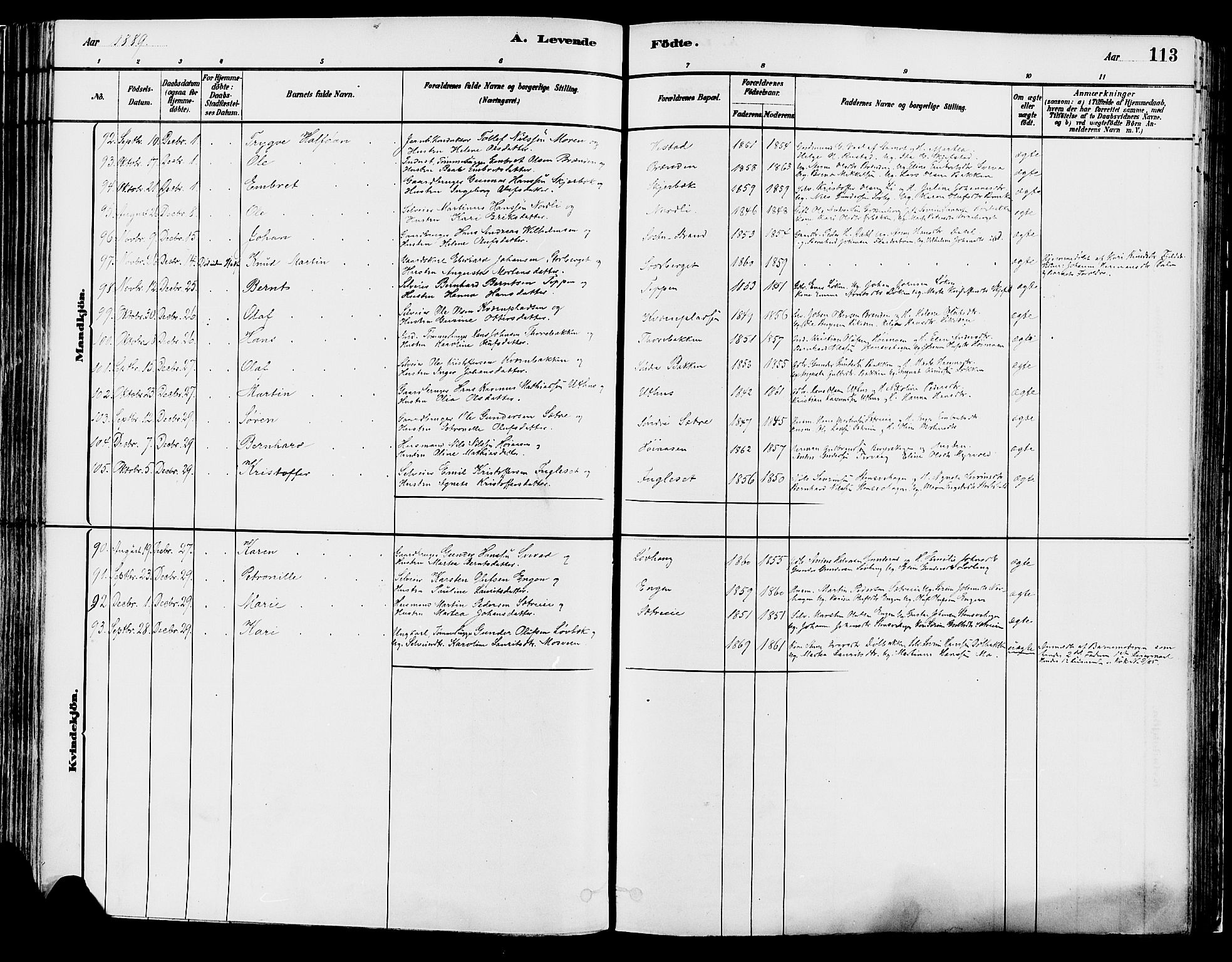 Elverum prestekontor, AV/SAH-PREST-044/H/Ha/Haa/L0013: Parish register (official) no. 13, 1880-1890, p. 113