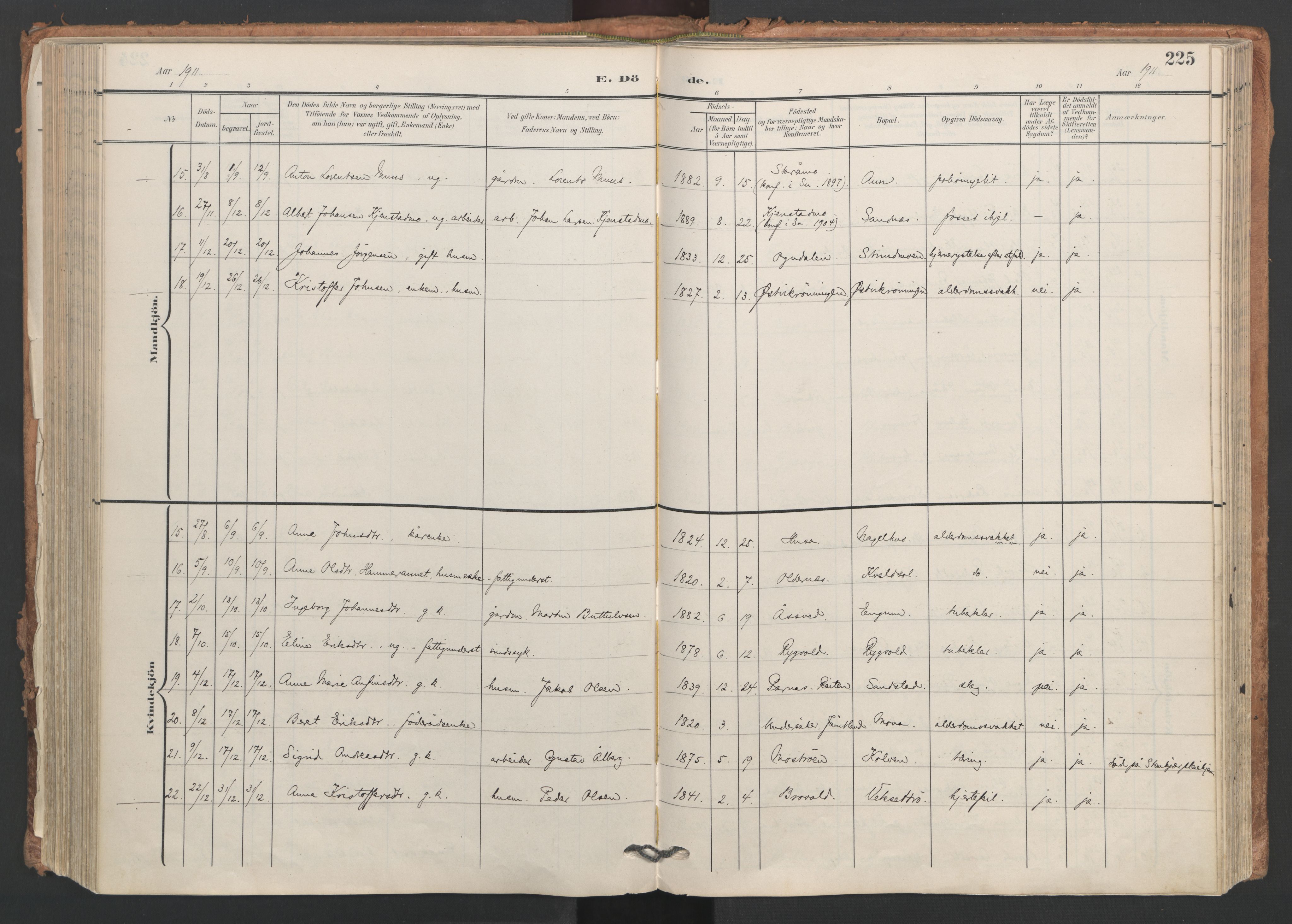 Ministerialprotokoller, klokkerbøker og fødselsregistre - Nord-Trøndelag, AV/SAT-A-1458/749/L0477: Parish register (official) no. 749A11, 1902-1927, p. 225