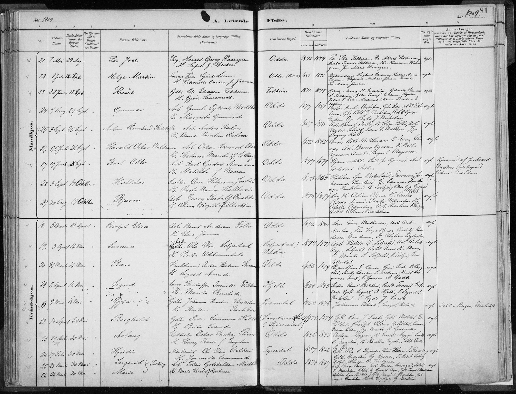 Odda Sokneprestembete, SAB/A-77201/H/Haa: Parish register (official) no. A  3, 1882-1913, p. 81