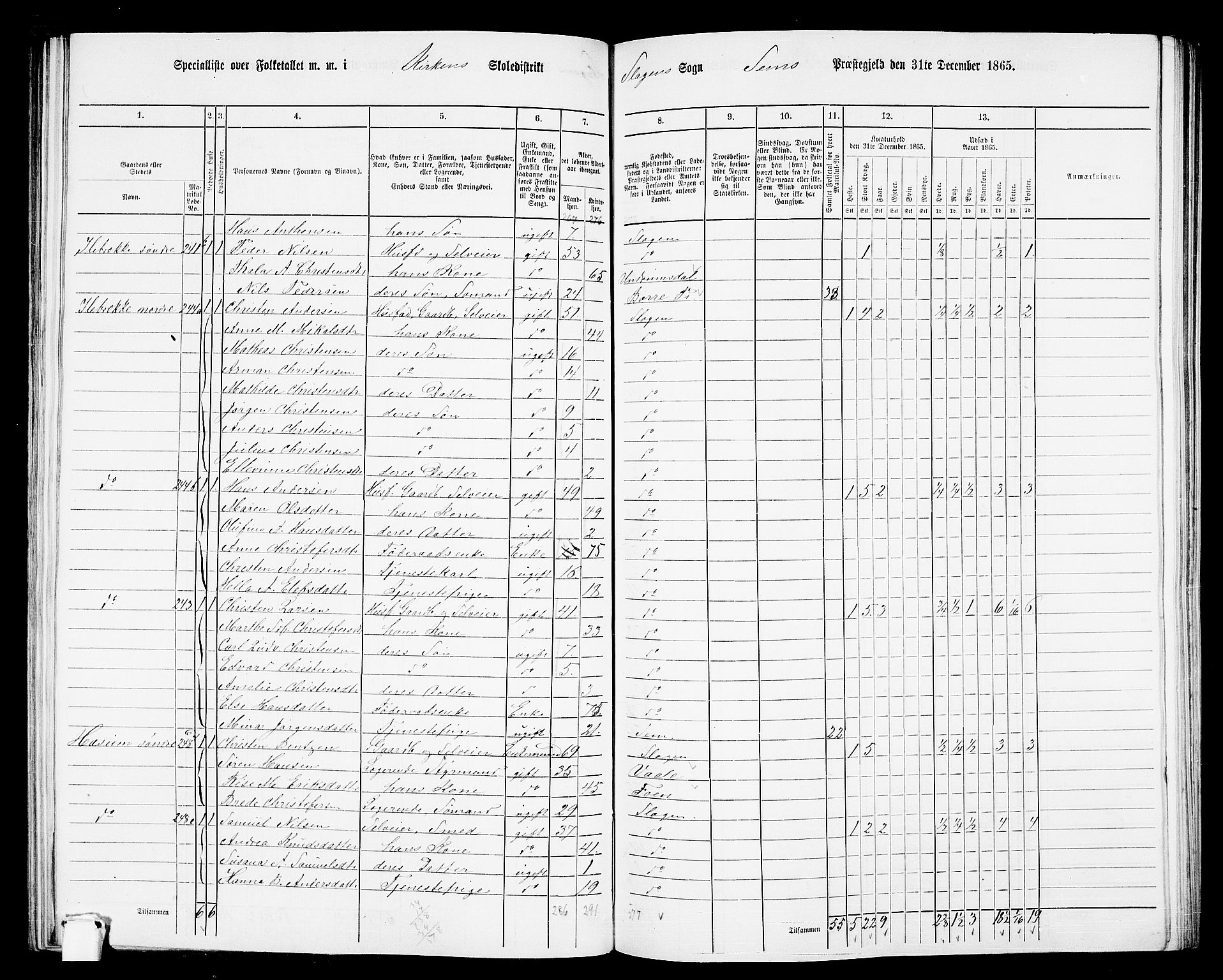 RA, 1865 census for Sem, 1865, p. 113