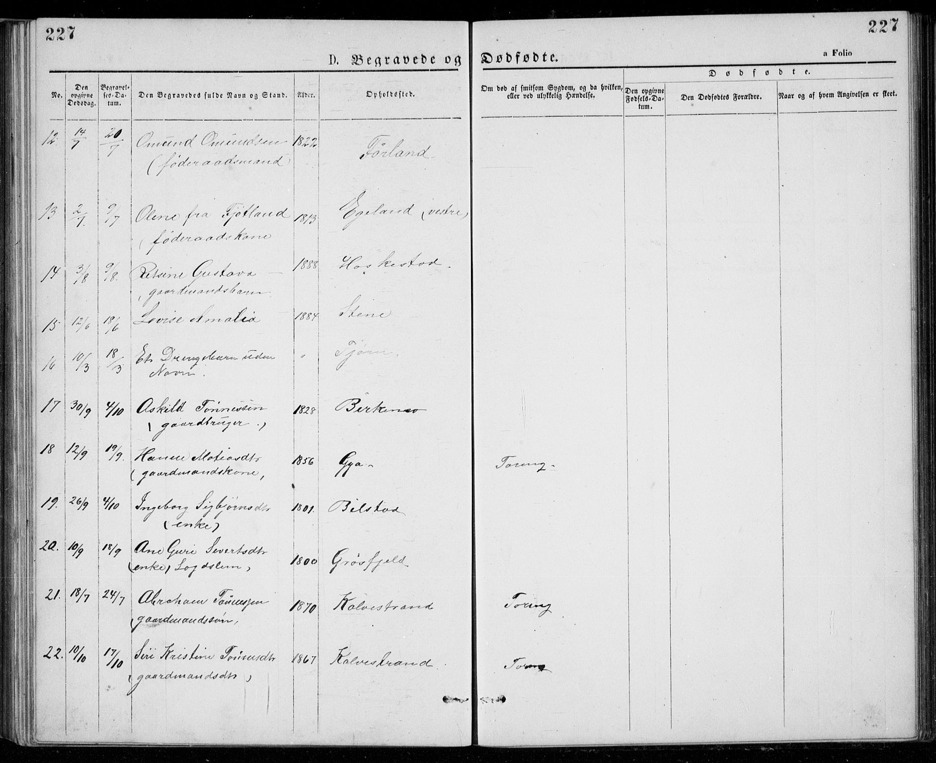 Lund sokneprestkontor, AV/SAST-A-101809/S07/L0005: Parish register (copy) no. B 5, 1875-1889, p. 227