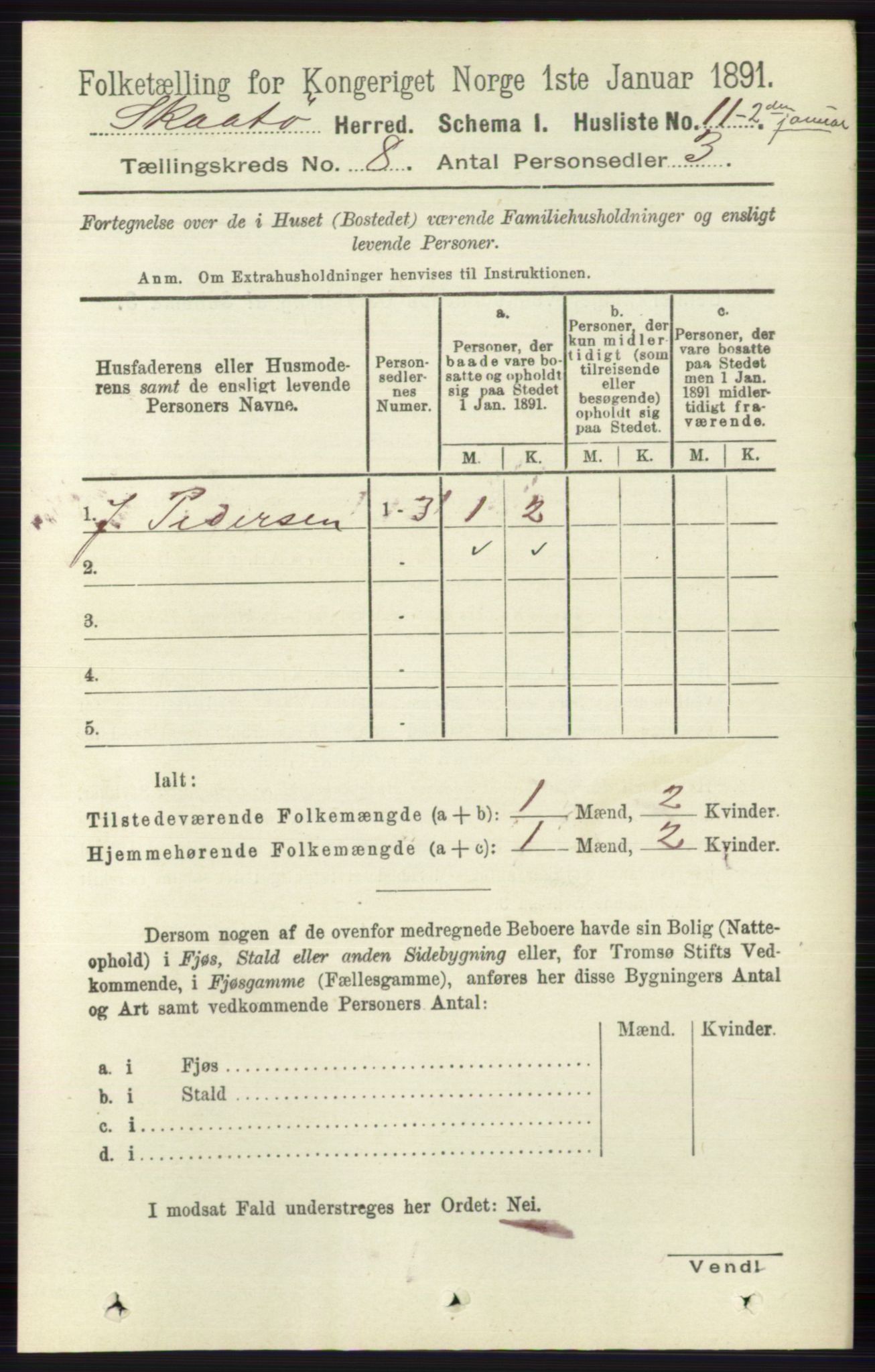 RA, 1891 census for 0815 Skåtøy, 1891, p. 3482