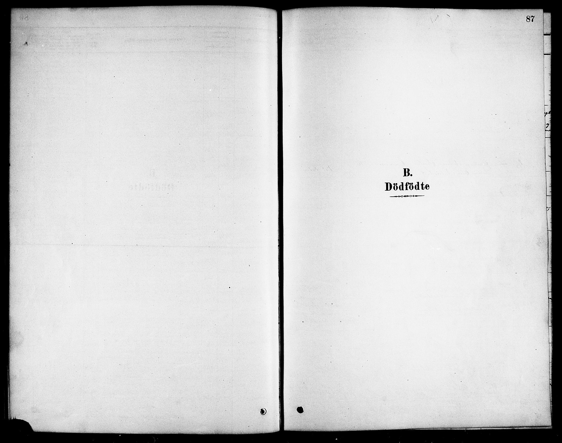 Ministerialprotokoller, klokkerbøker og fødselsregistre - Nordland, SAT/A-1459/823/L0330: Parish register (copy) no. 823C02, 1879-1916, p. 87