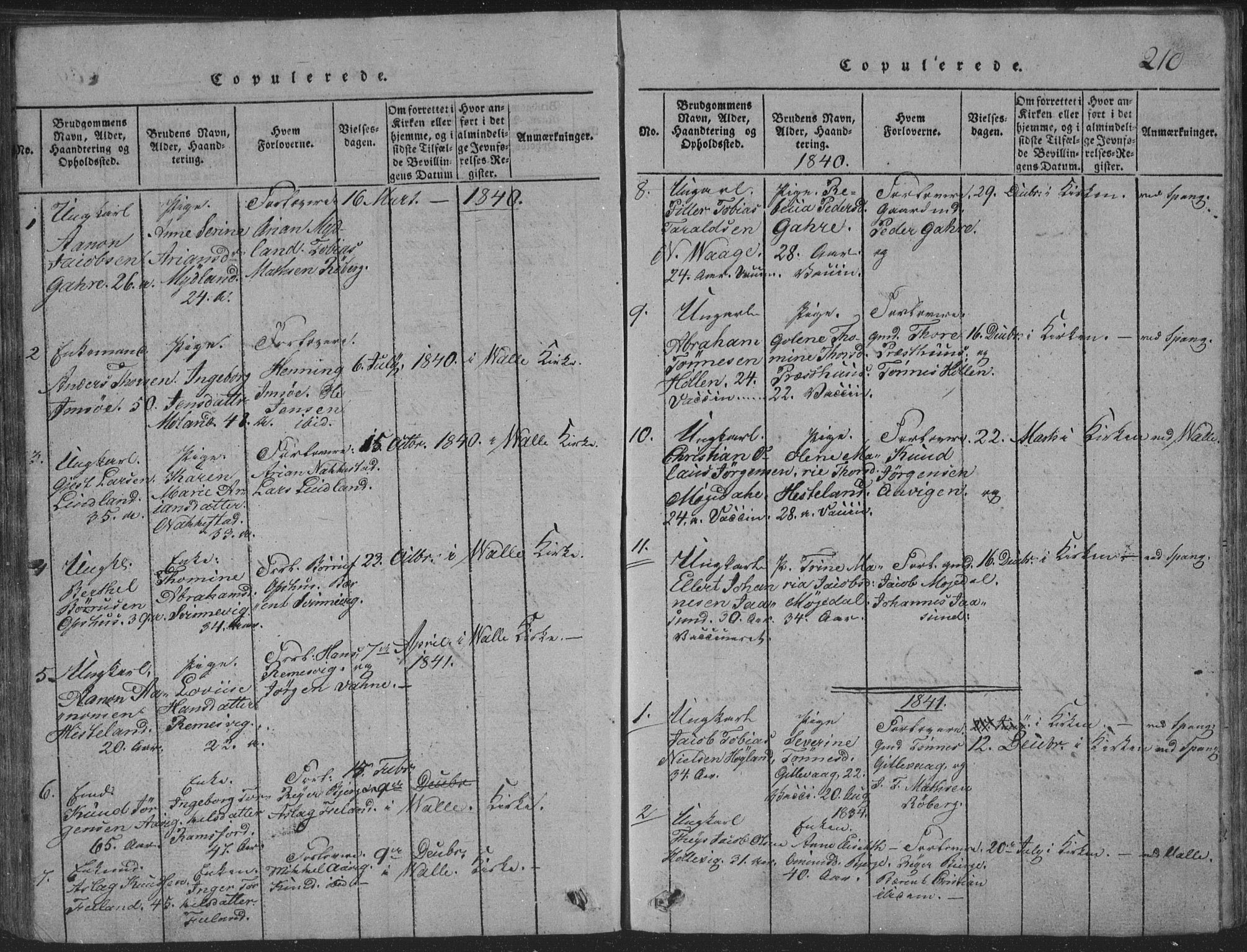 Sør-Audnedal sokneprestkontor, SAK/1111-0039/F/Fb/Fba/L0001: Parish register (copy) no. B 1, 1815-1850, p. 210