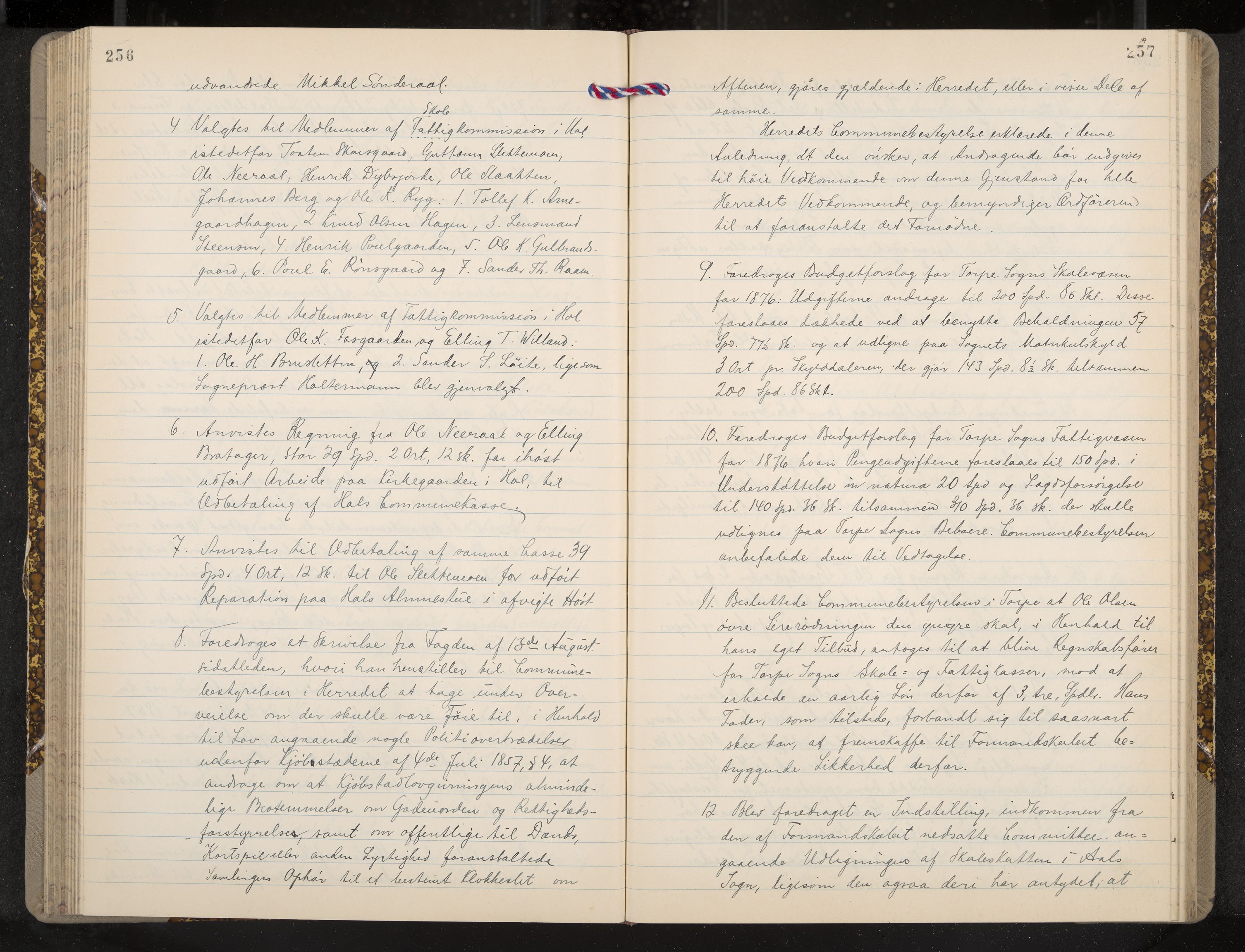 Ål formannskap og sentraladministrasjon, IKAK/0619021/A/Aa/L0003: Utskrift av møtebok, 1864-1880, p. 256-257