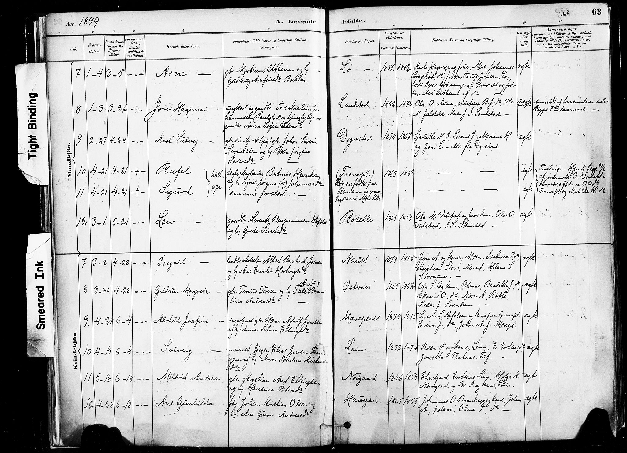 Ministerialprotokoller, klokkerbøker og fødselsregistre - Nord-Trøndelag, SAT/A-1458/735/L0351: Parish register (official) no. 735A10, 1884-1908, p. 63