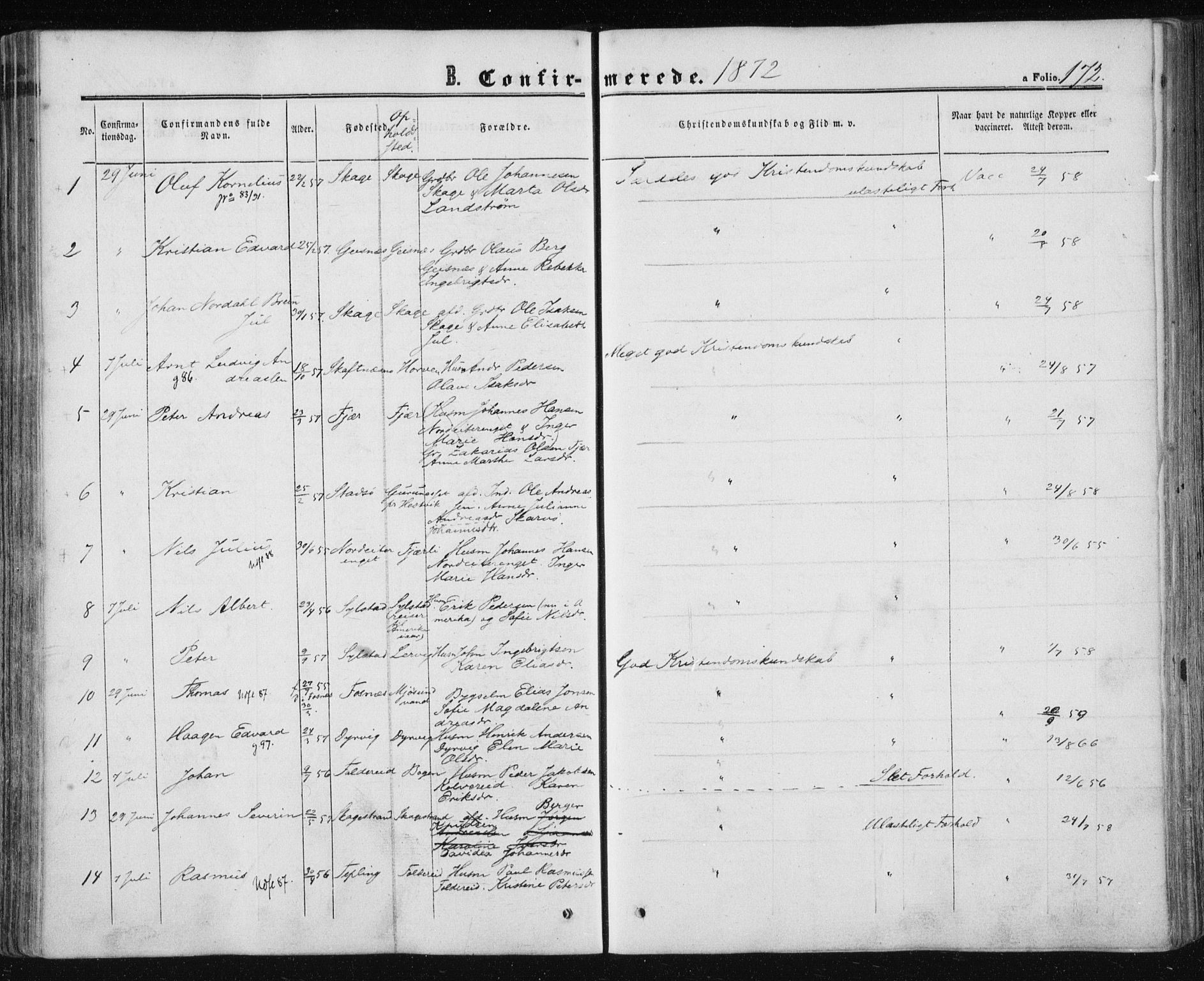 Ministerialprotokoller, klokkerbøker og fødselsregistre - Nord-Trøndelag, AV/SAT-A-1458/780/L0641: Parish register (official) no. 780A06, 1857-1874, p. 172