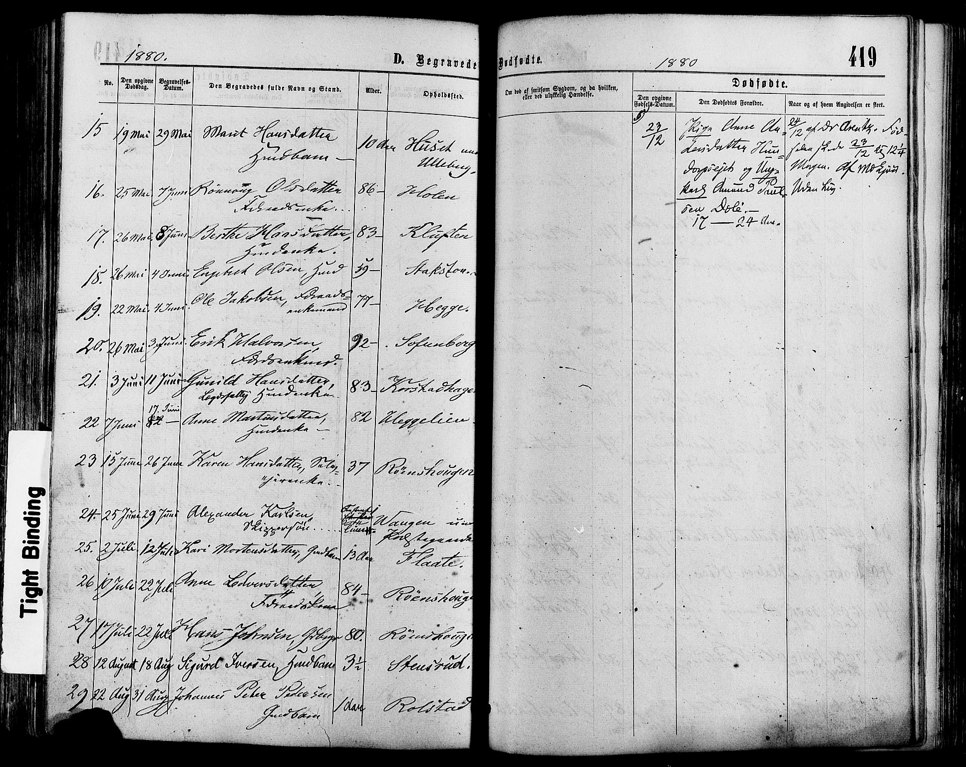 Sør-Fron prestekontor, AV/SAH-PREST-010/H/Ha/Haa/L0002: Parish register (official) no. 2, 1864-1880, p. 419