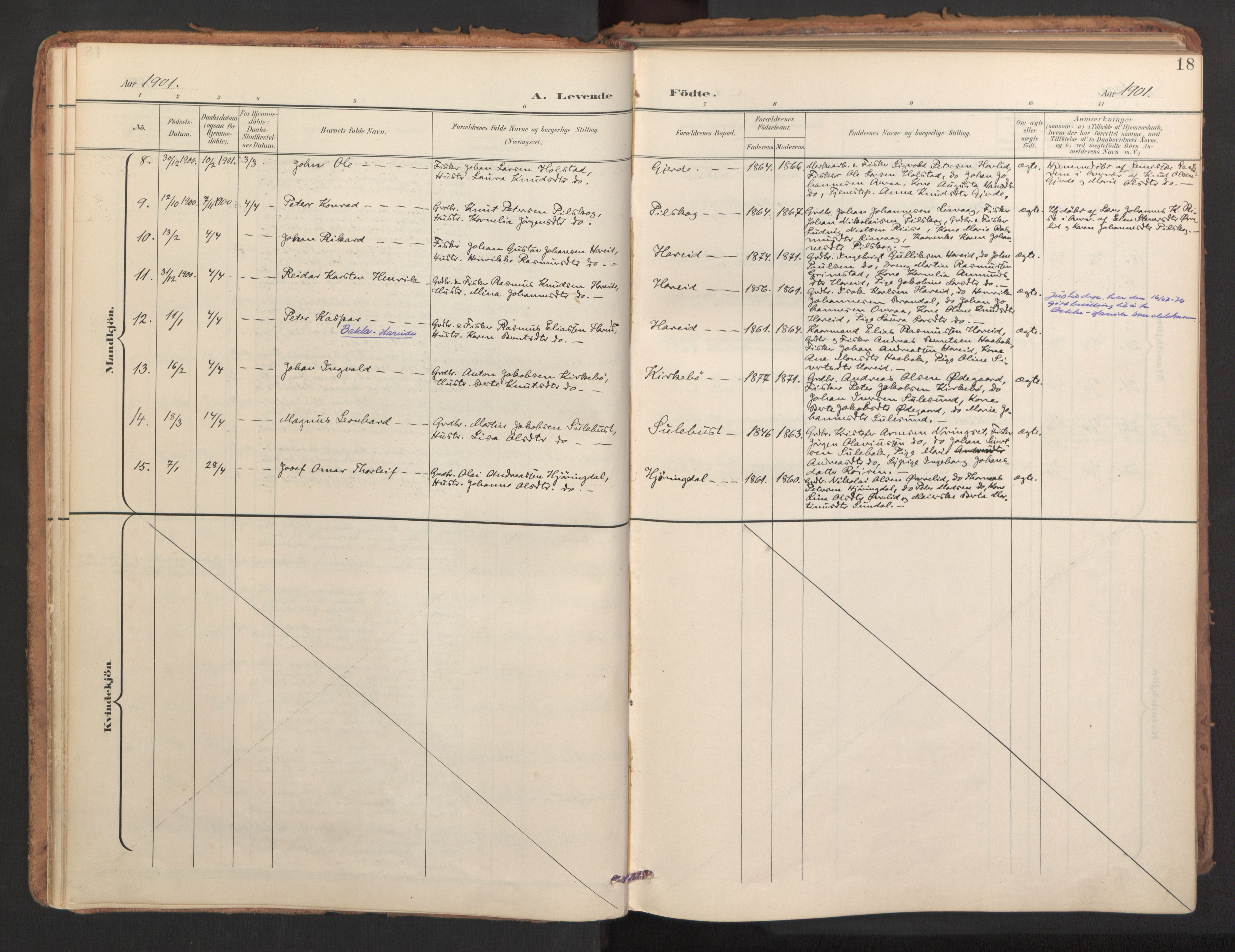 Ministerialprotokoller, klokkerbøker og fødselsregistre - Møre og Romsdal, AV/SAT-A-1454/510/L0123: Parish register (official) no. 510A03, 1898-1922, p. 18