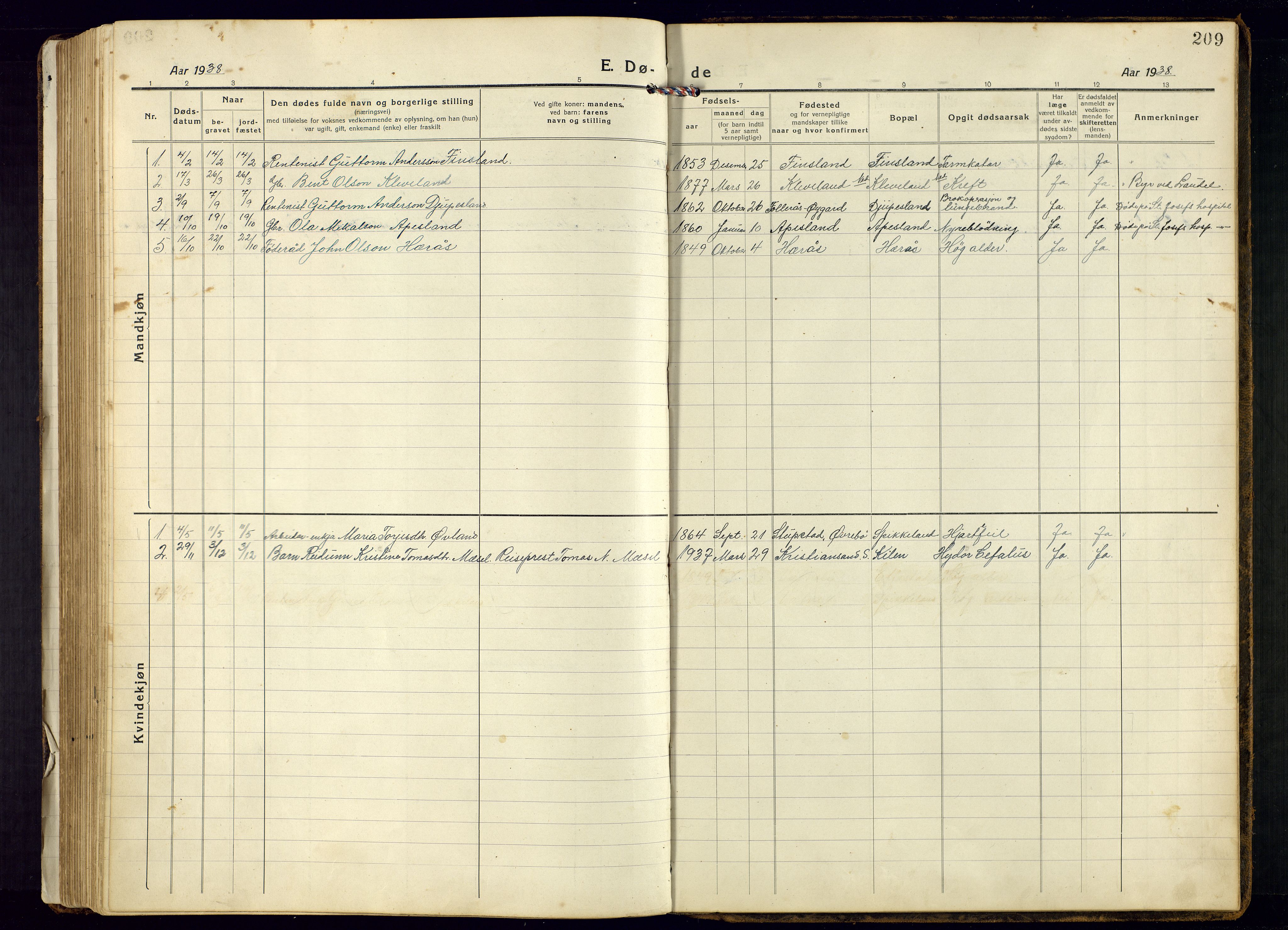 Bjelland sokneprestkontor, AV/SAK-1111-0005/F/Fb/Fbb/L0006: Parish register (copy) no. B-6, 1918-1946, p. 209