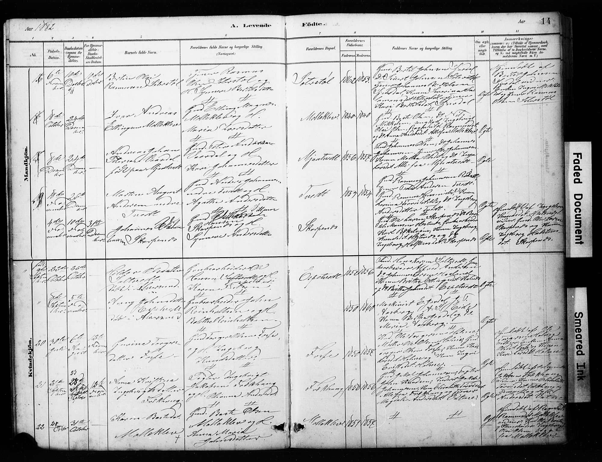Alversund Sokneprestembete, SAB/A-73901/H/Ha/Hab: Parish register (copy) no. C 3, 1881-1894, p. 14