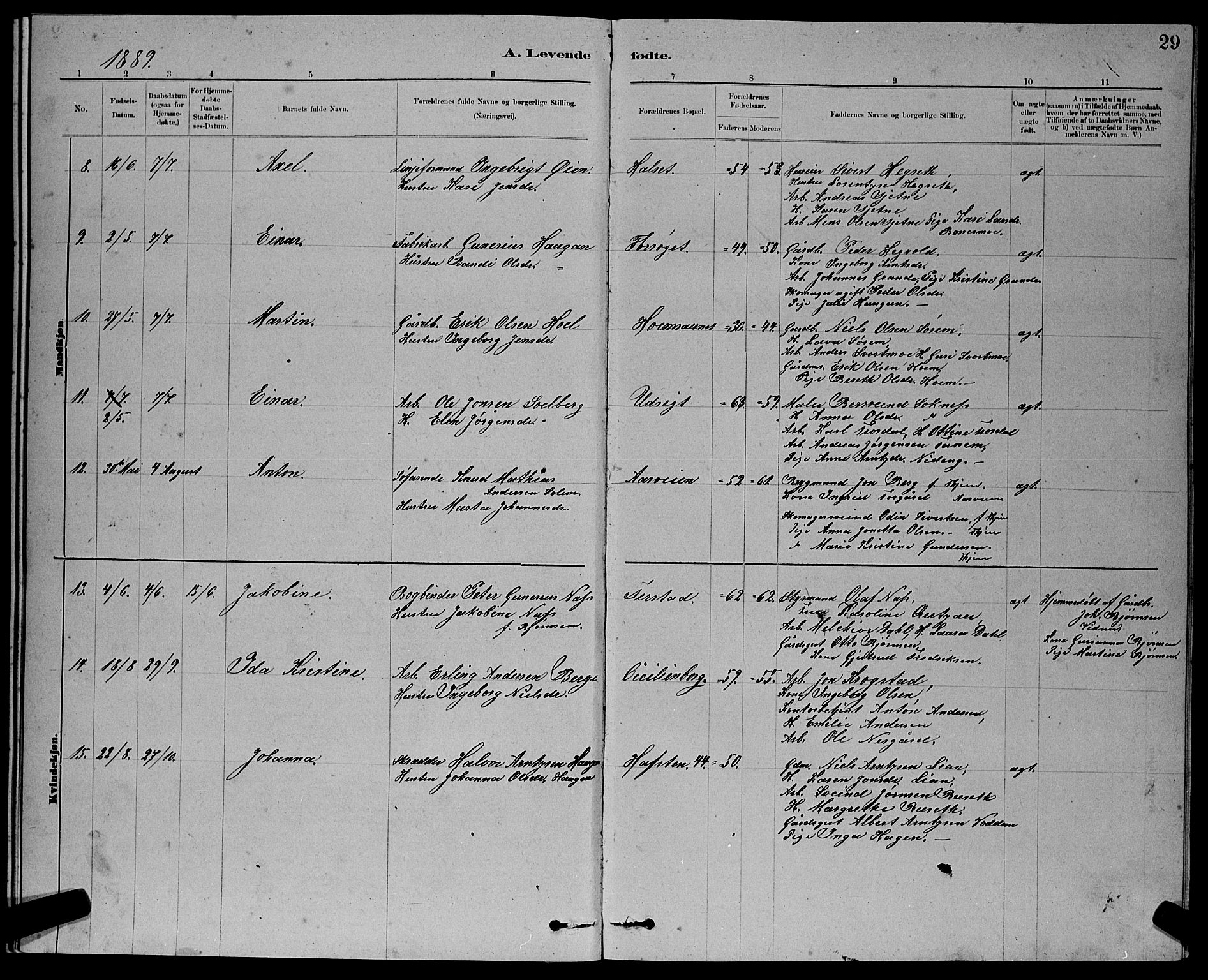 Ministerialprotokoller, klokkerbøker og fødselsregistre - Sør-Trøndelag, AV/SAT-A-1456/611/L0354: Parish register (copy) no. 611C02, 1881-1896, p. 29