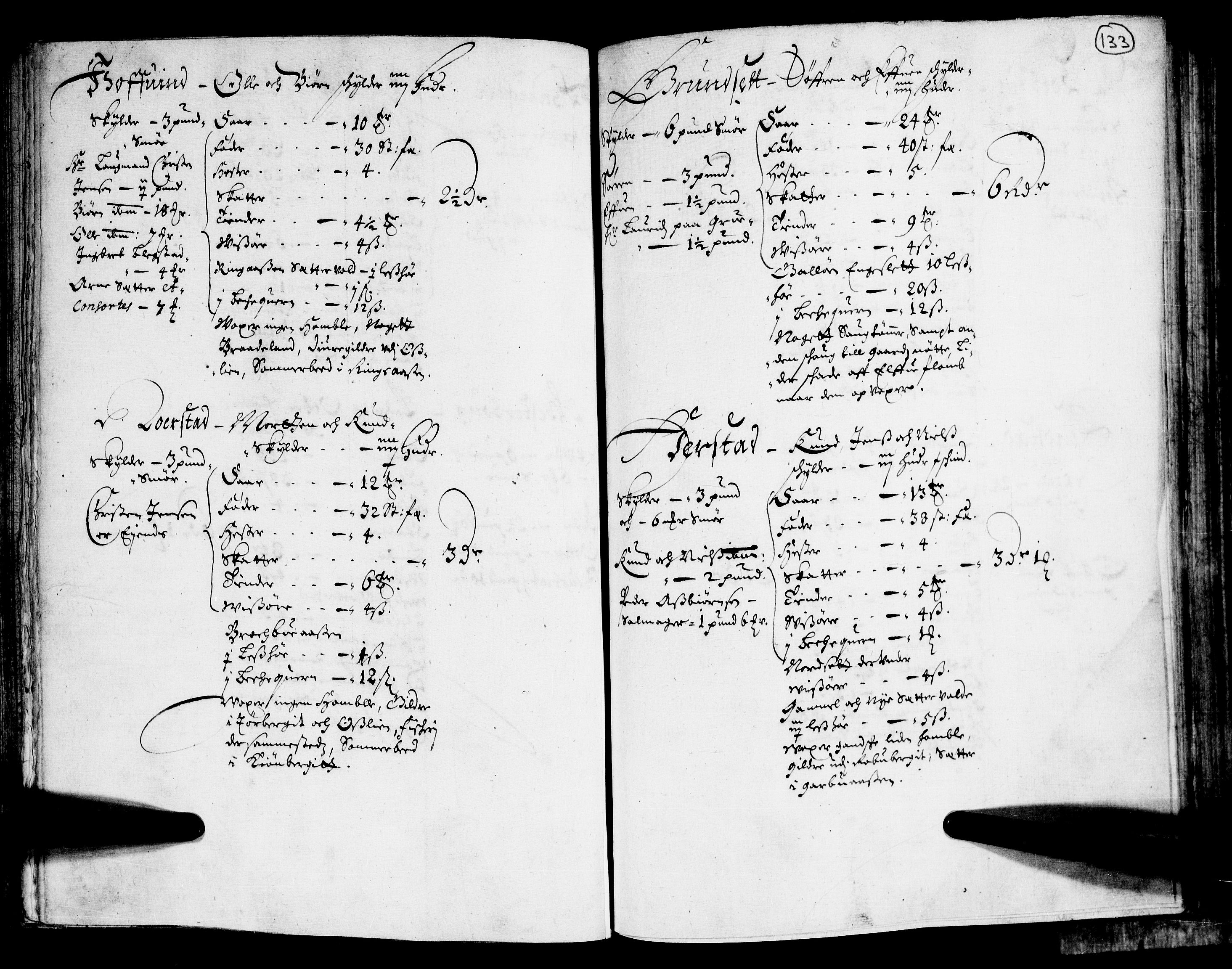 Rentekammeret inntil 1814, Realistisk ordnet avdeling, AV/RA-EA-4070/N/Nb/Nba/L0011: Odal, Solør og Østerdalen fogderi, 1667, p. 132b-133a