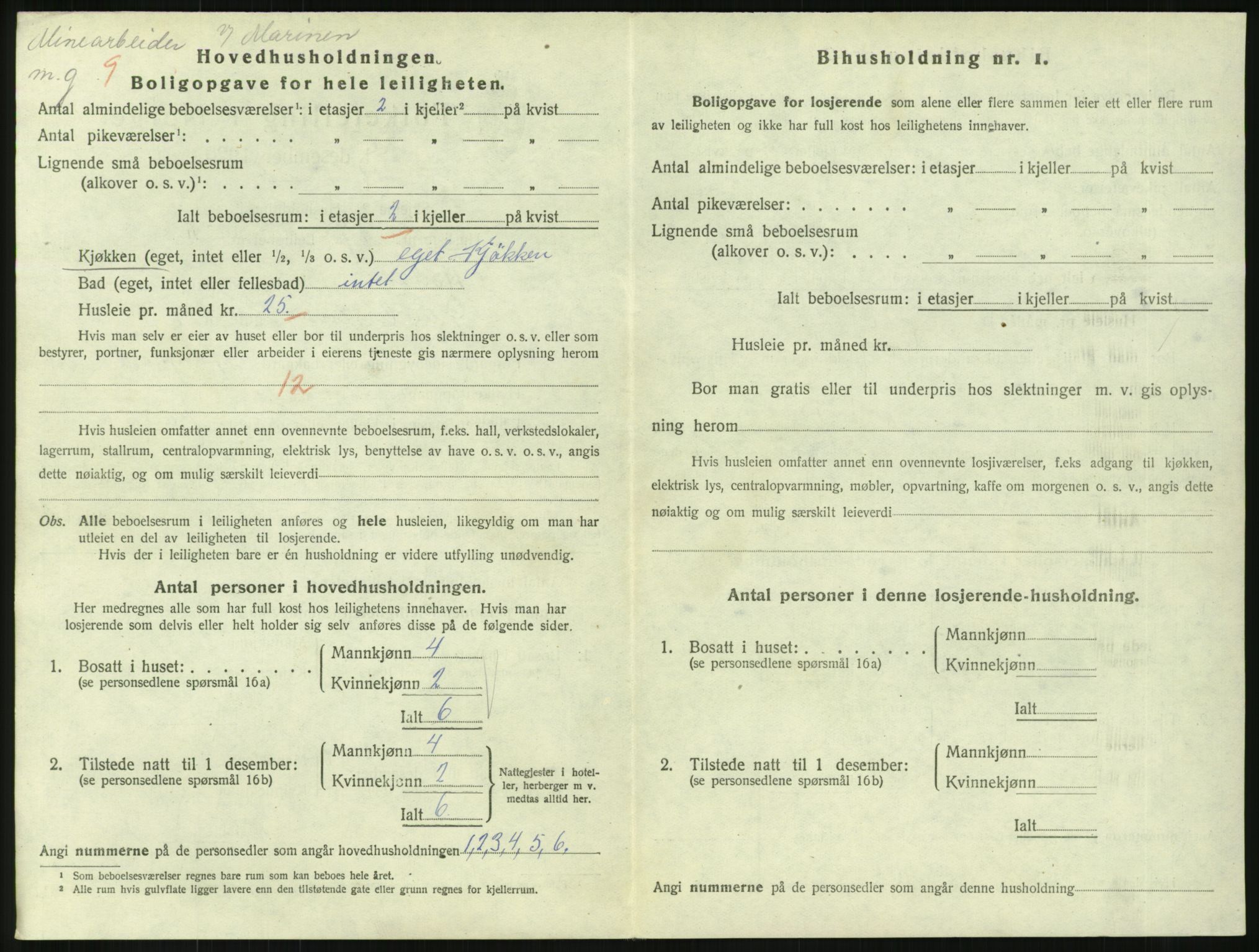 SAKO, 1920 census for Horten, 1920, p. 3702