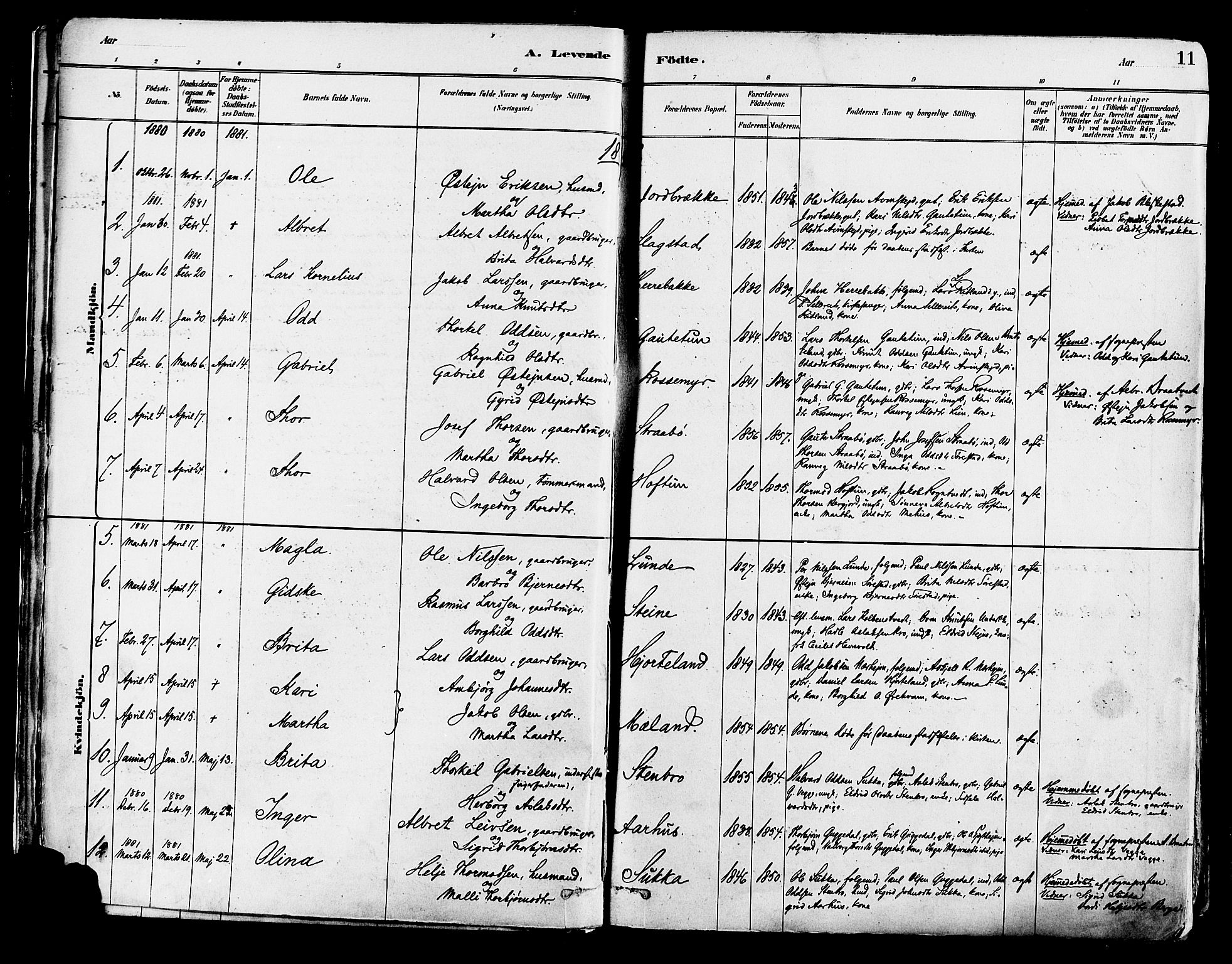 Suldal sokneprestkontor, AV/SAST-A-101845/01/IV/L0011: Parish register (official) no. A 11, 1878-1900, p. 11