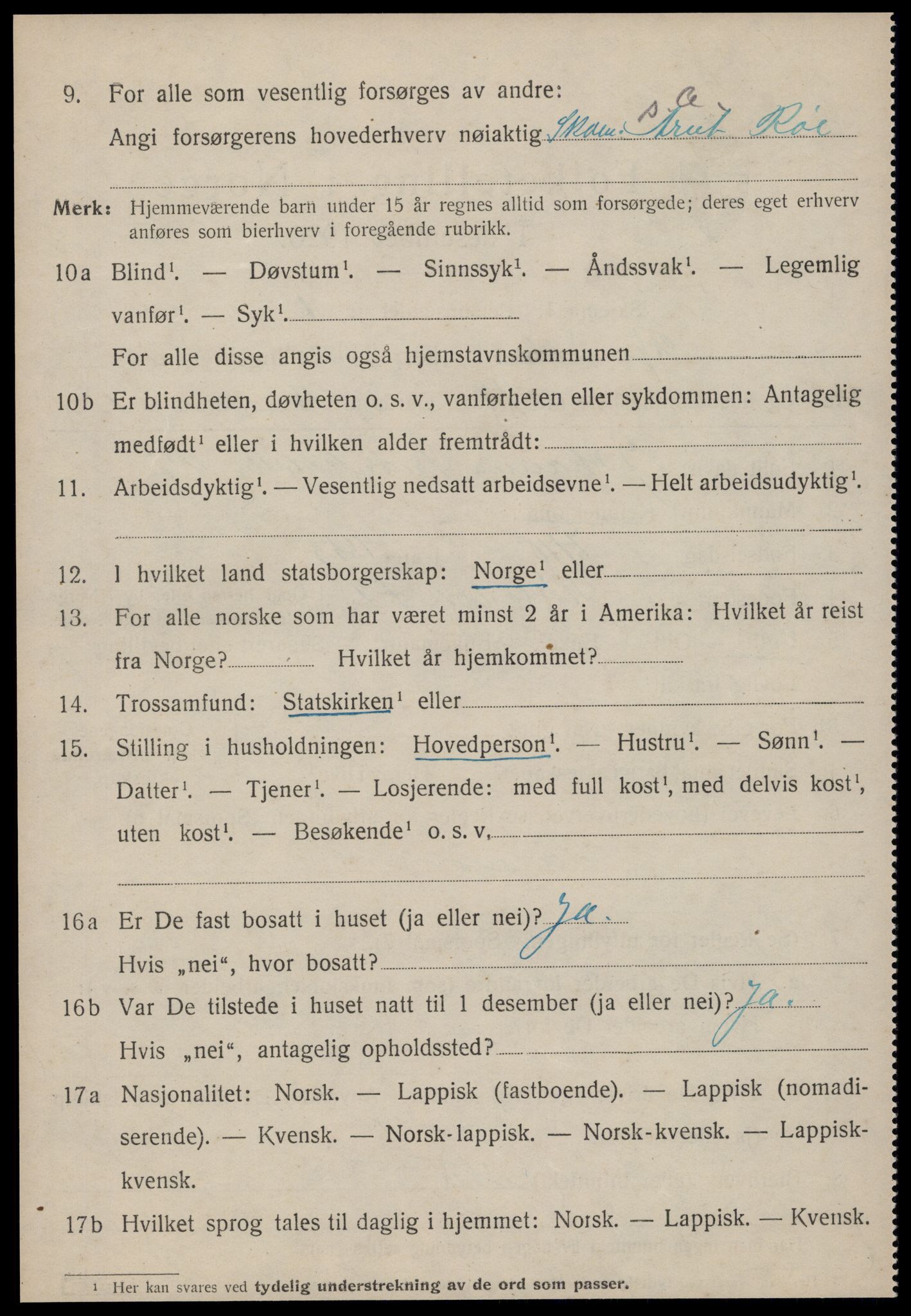 SAT, 1920 census for Rennebu, 1920, p. 1851