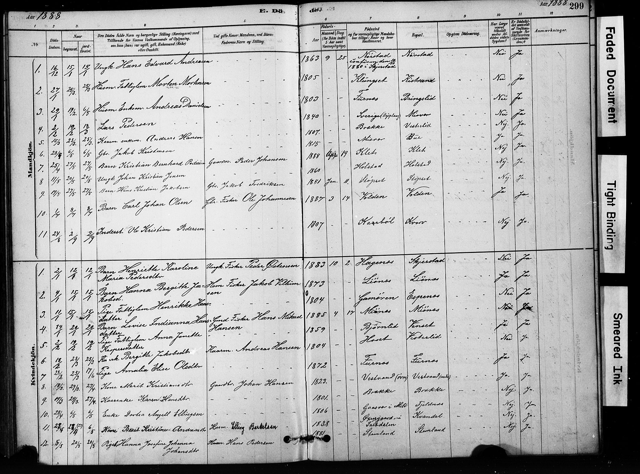 Ministerialprotokoller, klokkerbøker og fødselsregistre - Nordland, AV/SAT-A-1459/852/L0754: Parish register (copy) no. 852C05, 1878-1894, p. 299