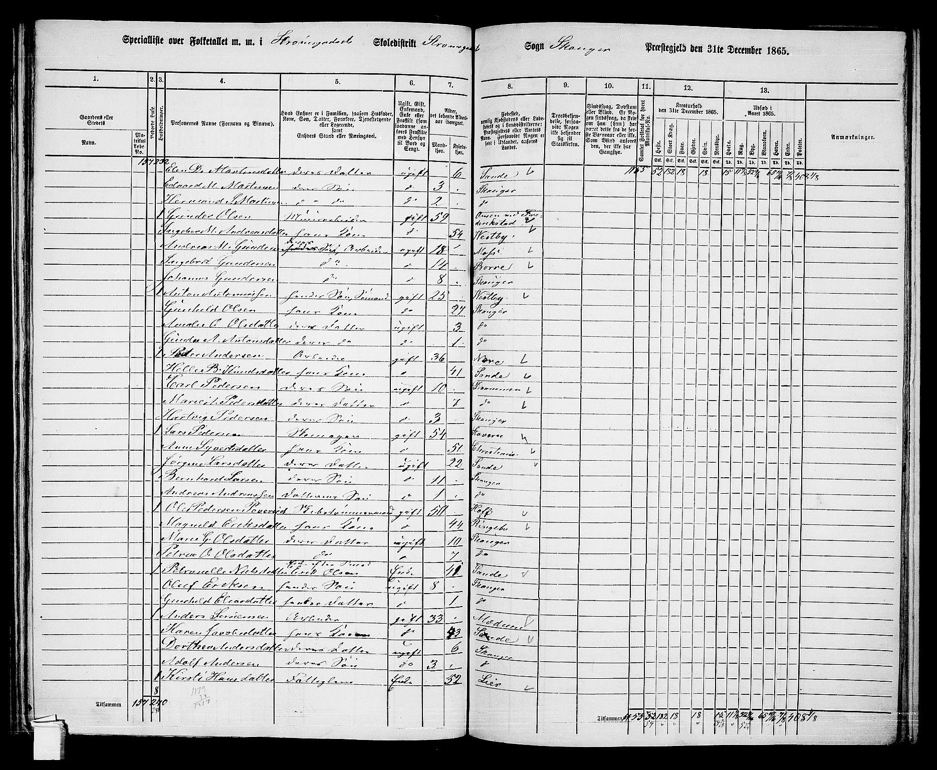 RA, 1865 census for Skoger, 1865, p. 157