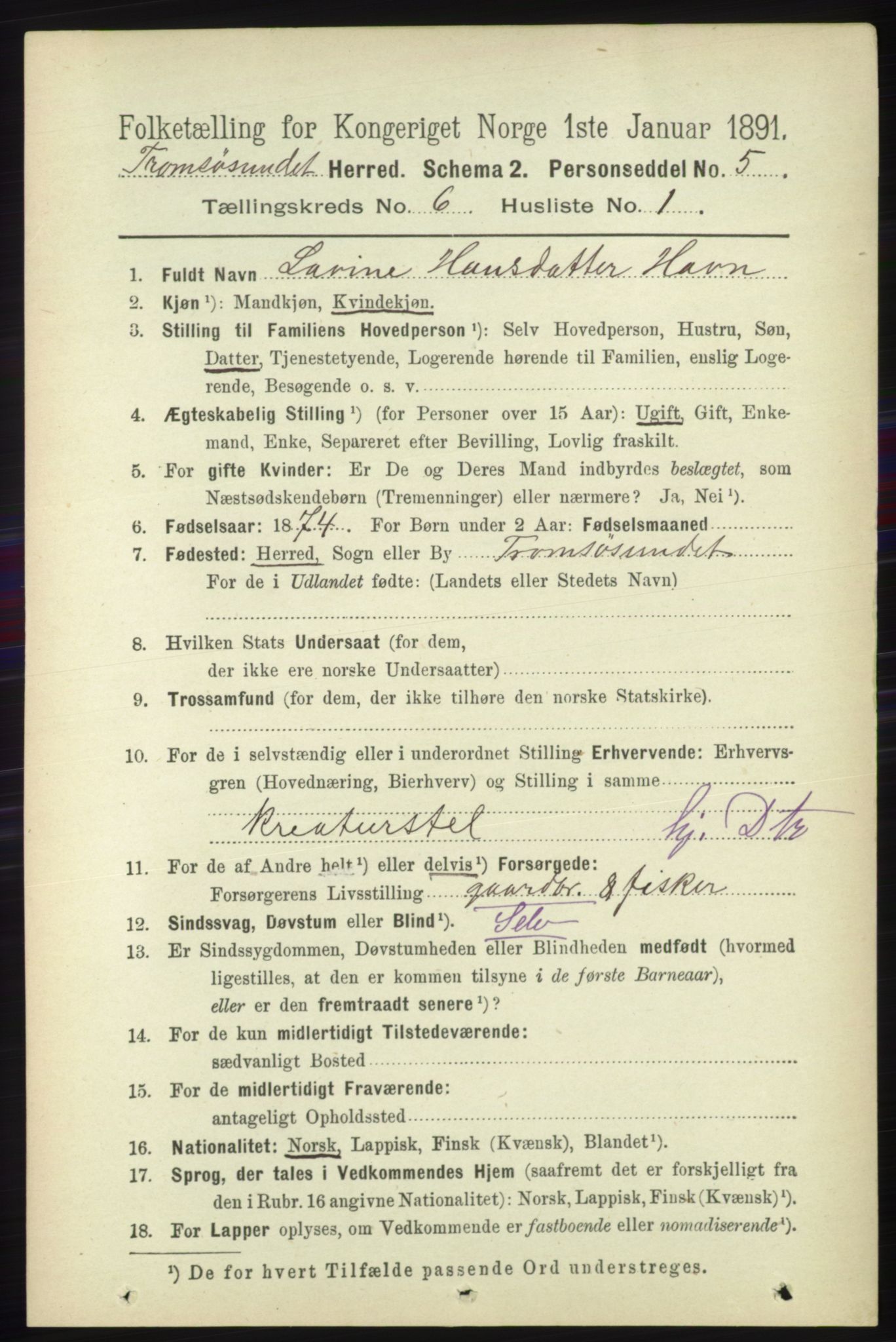 RA, 1891 census for 1934 Tromsøysund, 1891, p. 3002