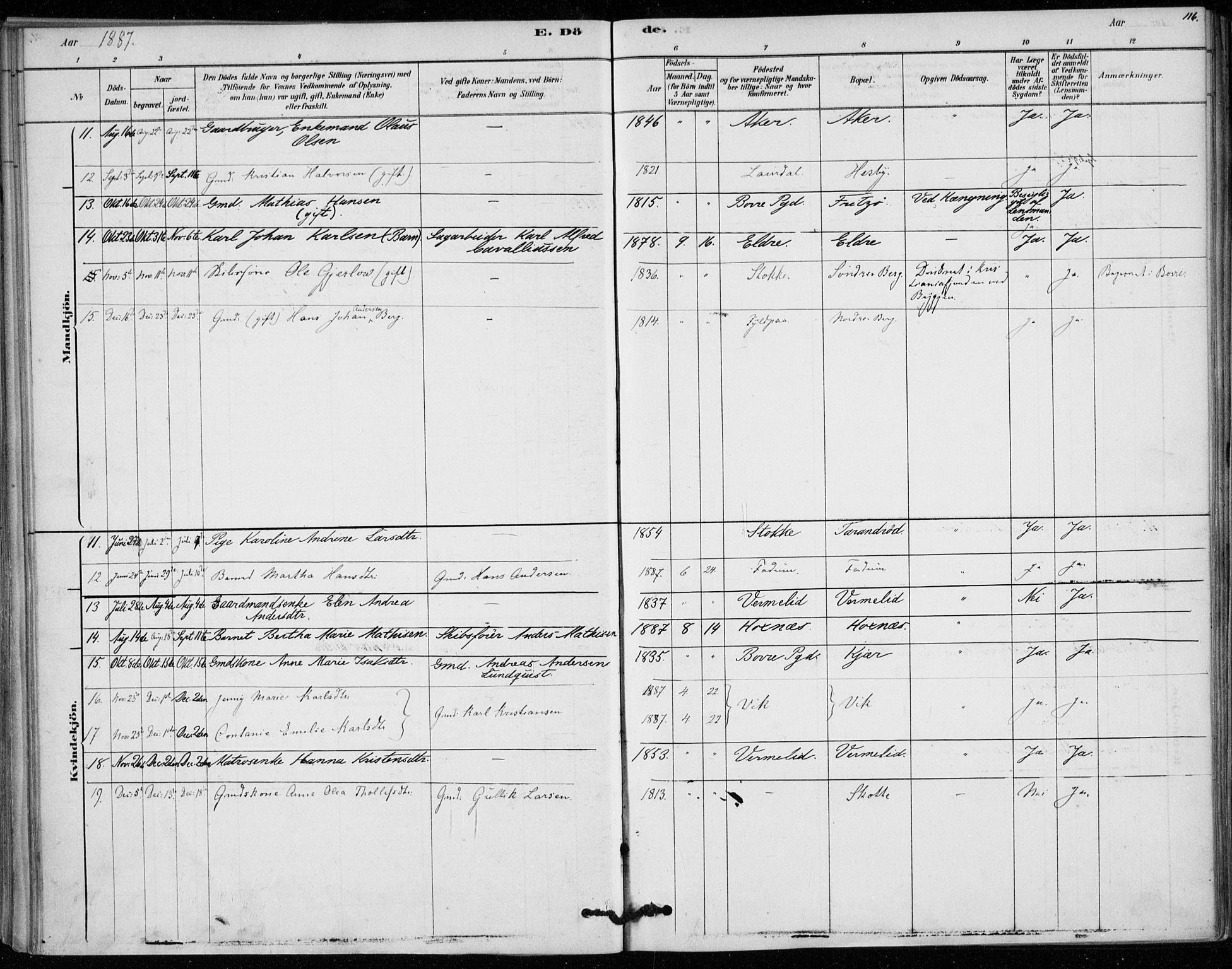 Sem kirkebøker, AV/SAKO-A-5/F/Fa/L0010: Parish register (official) no. I 10, 1878-1887, p. 116