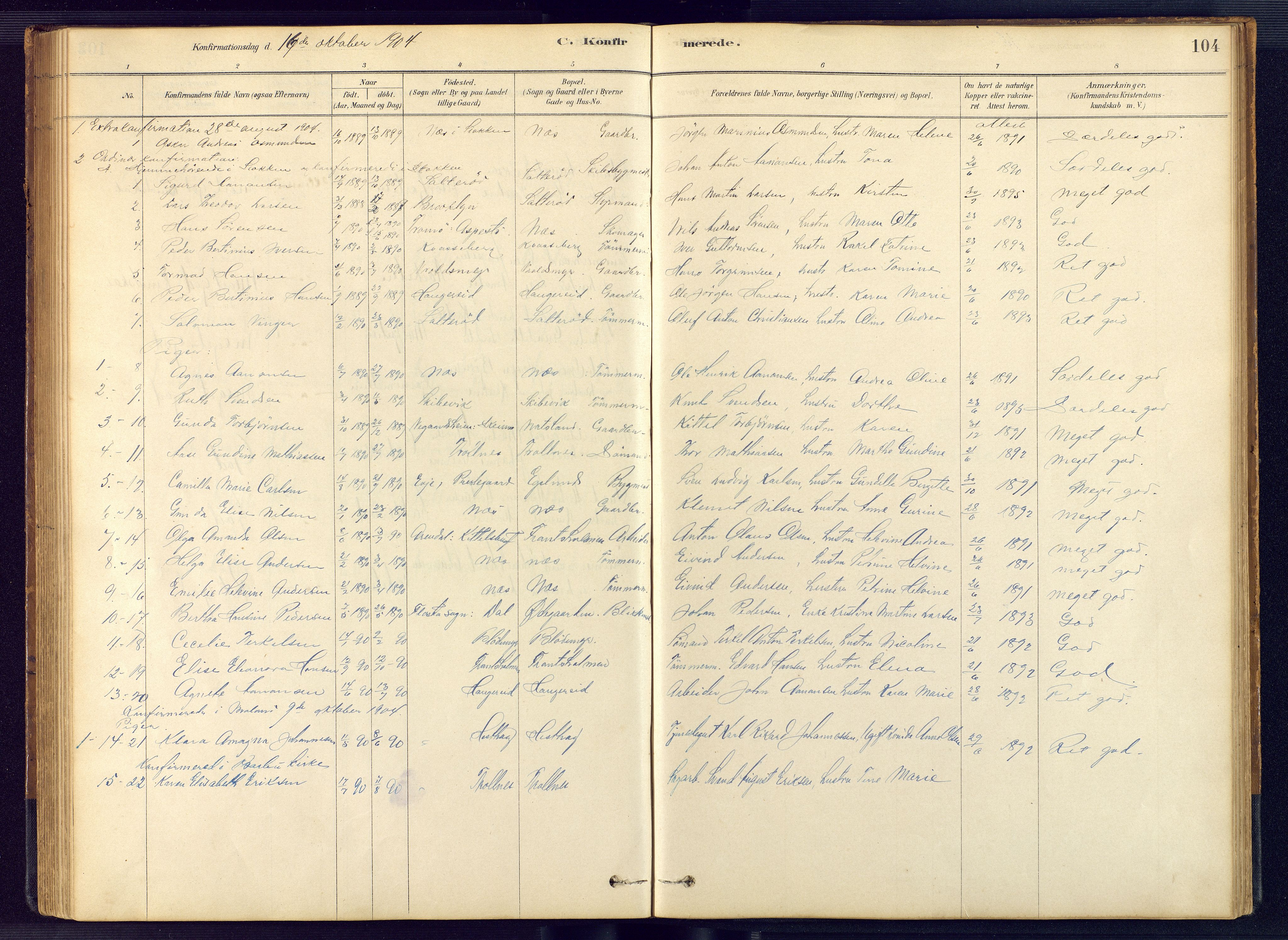Austre Moland sokneprestkontor, SAK/1111-0001/F/Fb/Fbb/L0001: Parish register (copy) no. B 1, 1878-1904, p. 104