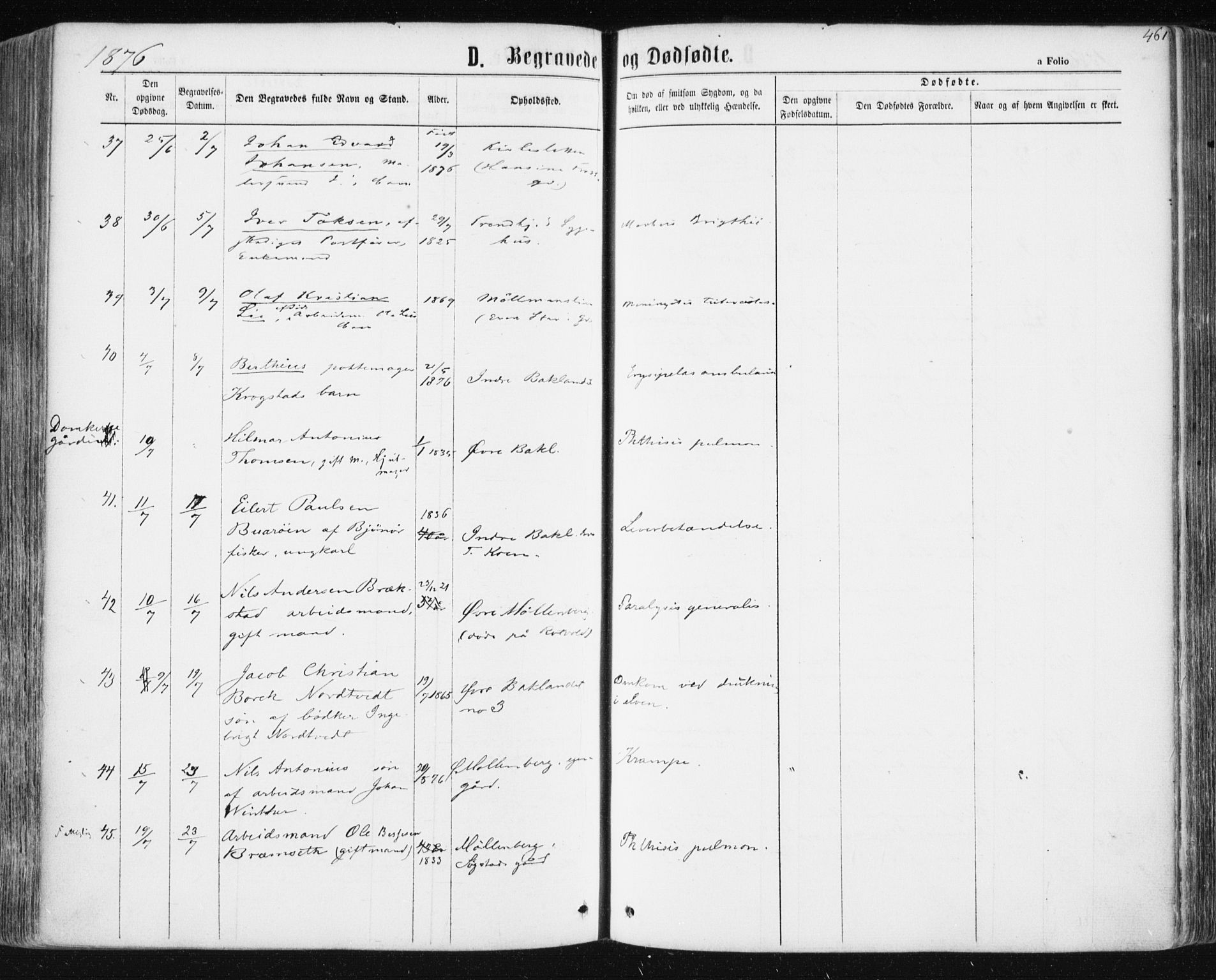 Ministerialprotokoller, klokkerbøker og fødselsregistre - Sør-Trøndelag, SAT/A-1456/604/L0186: Parish register (official) no. 604A07, 1866-1877, p. 461