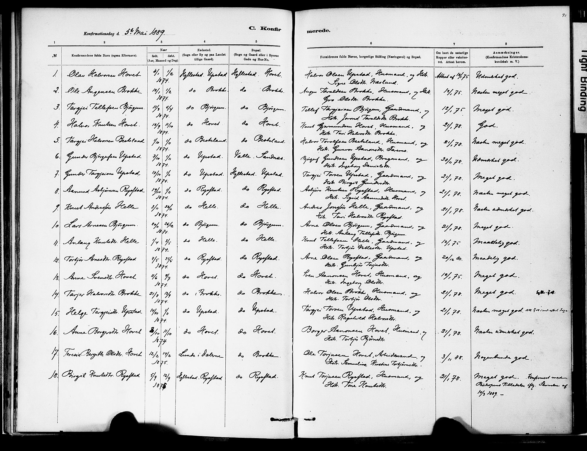 Valle sokneprestkontor, SAK/1111-0044/F/Fa/Fab/L0001: Parish register (official) no. A 1, 1882-1910, p. 95