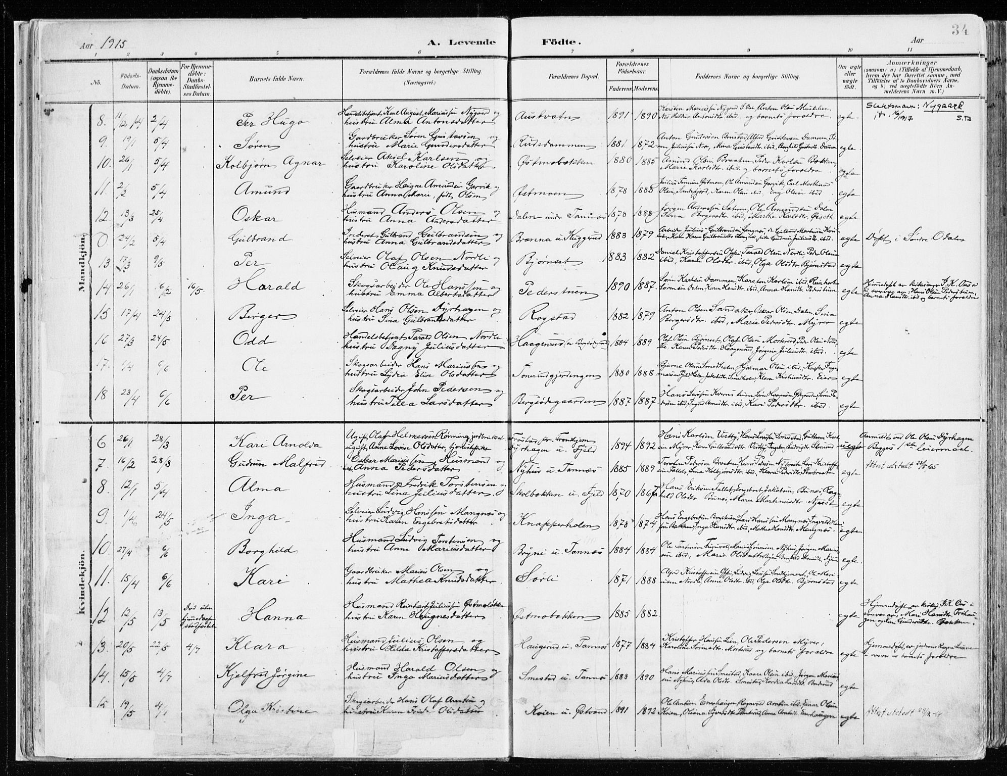 Nord-Odal prestekontor, AV/SAH-PREST-032/H/Ha/Haa/L0009: Parish register (official) no. 9, 1902-1926, p. 34