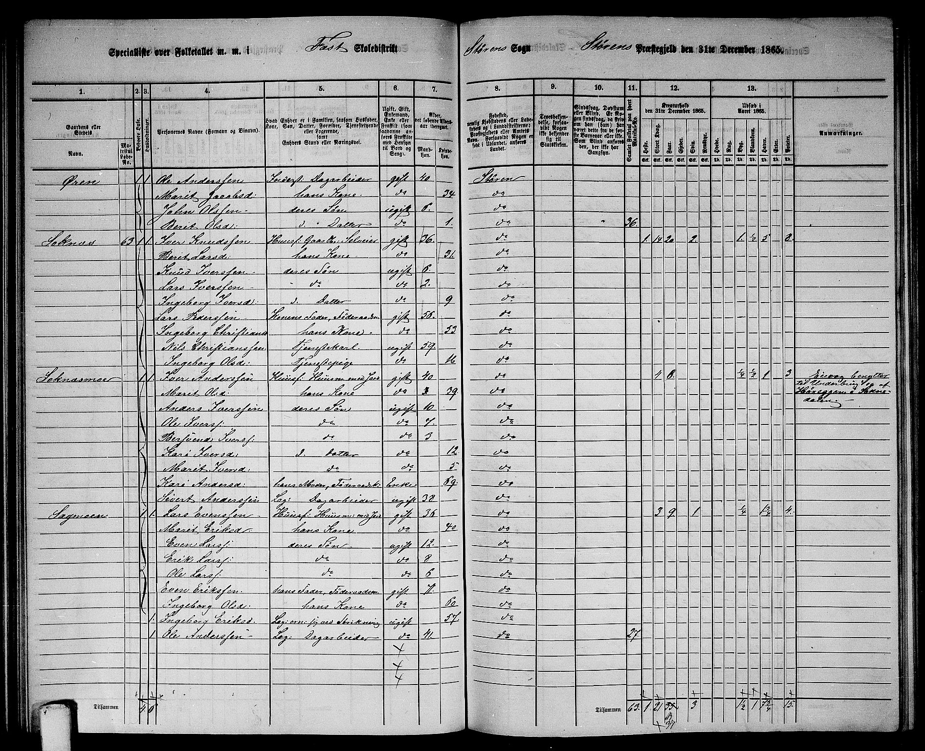 RA, 1865 census for Støren, 1865, p. 106