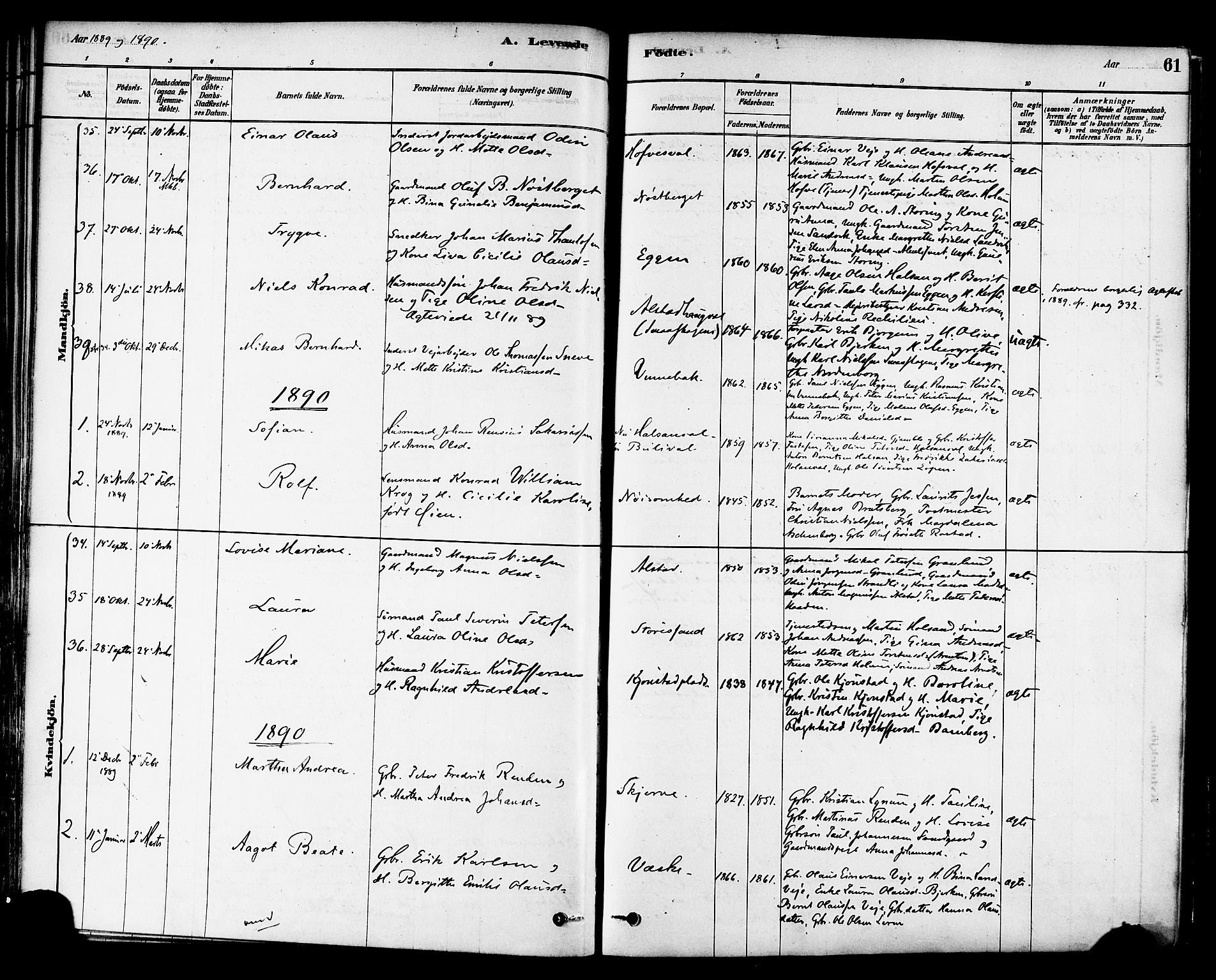 Ministerialprotokoller, klokkerbøker og fødselsregistre - Nord-Trøndelag, AV/SAT-A-1458/717/L0159: Parish register (official) no. 717A09, 1878-1898, p. 61